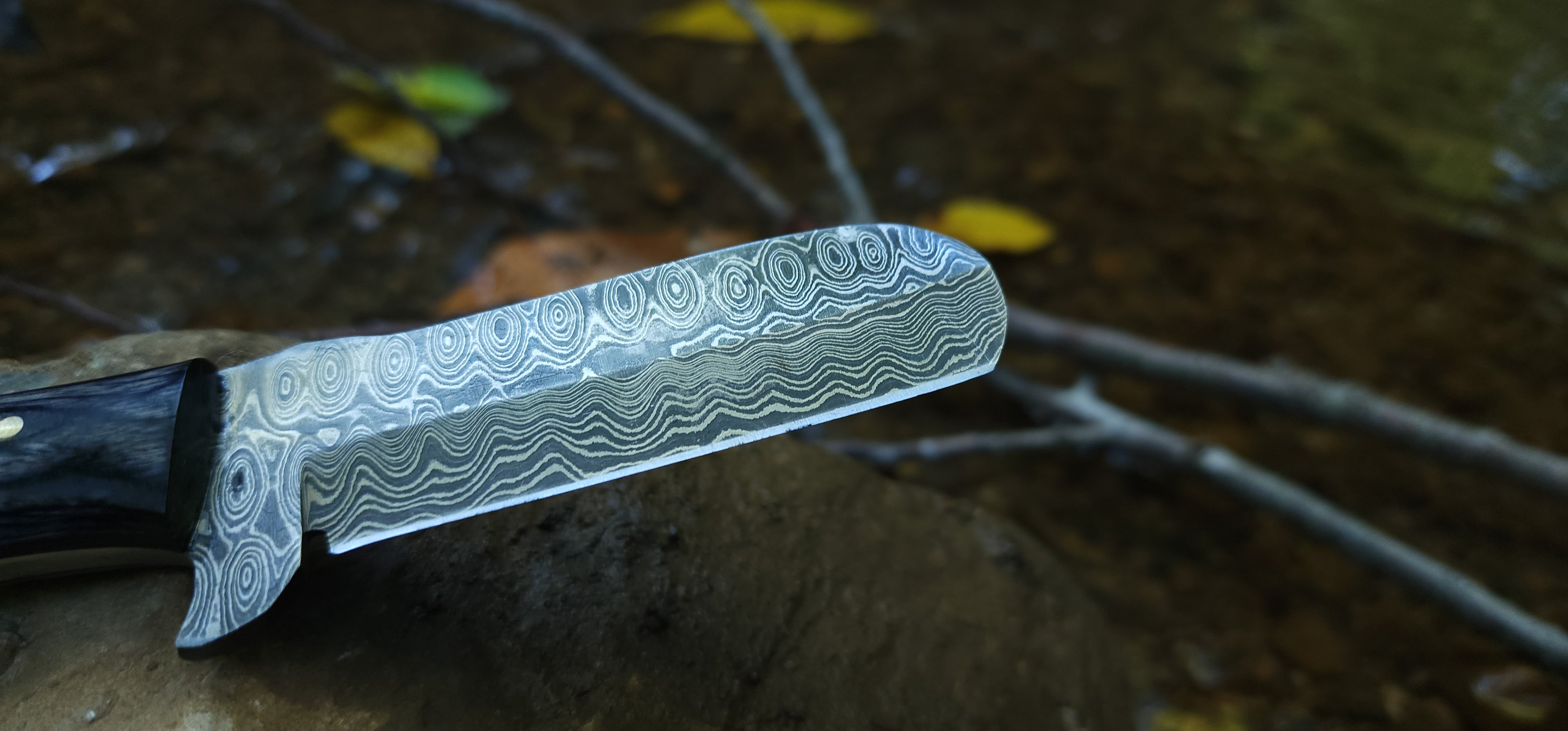 EBK-06 — Damascus Stagwood Bull Skinner