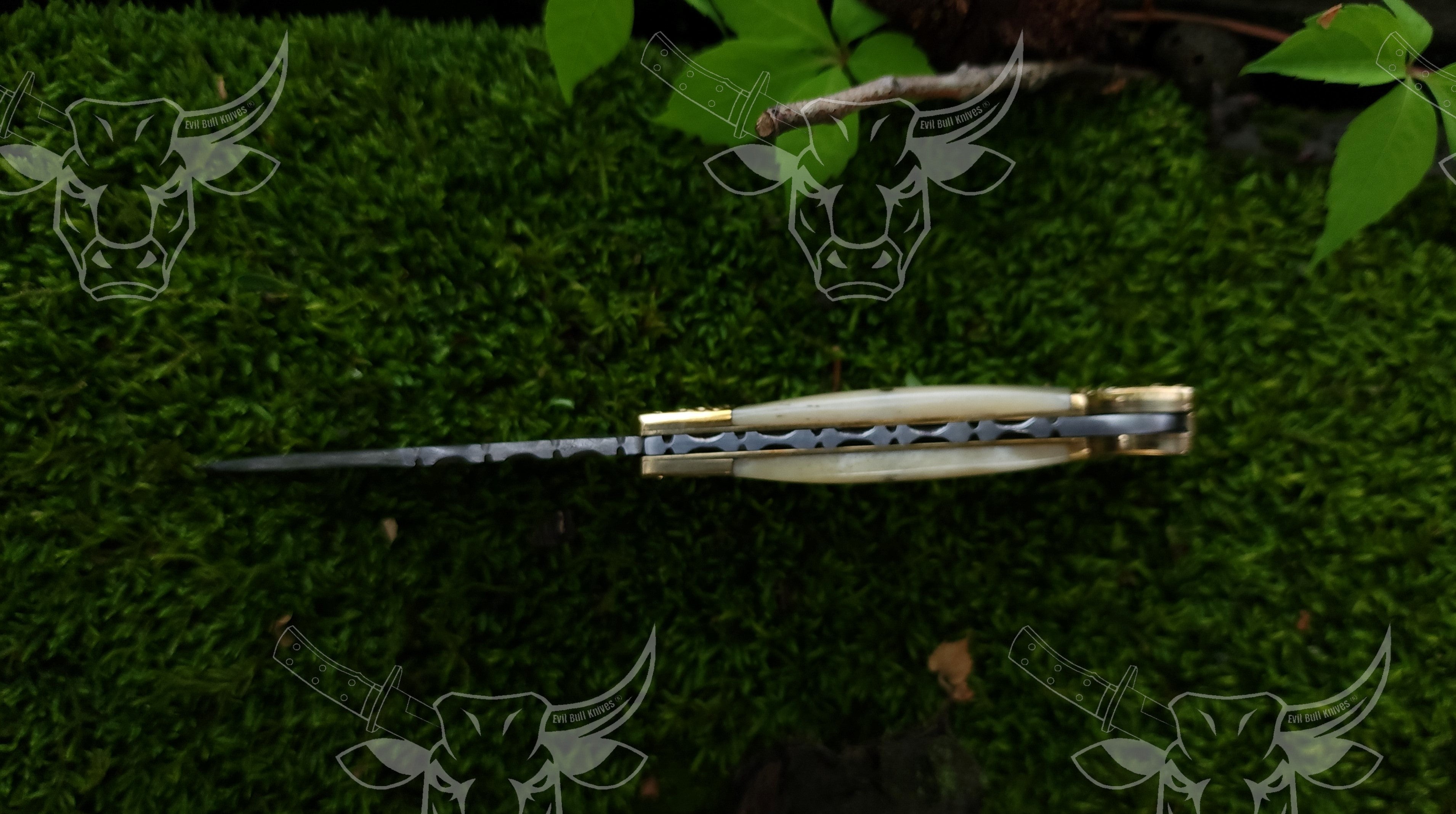 EBK-20 Bachman's Pocket Knife