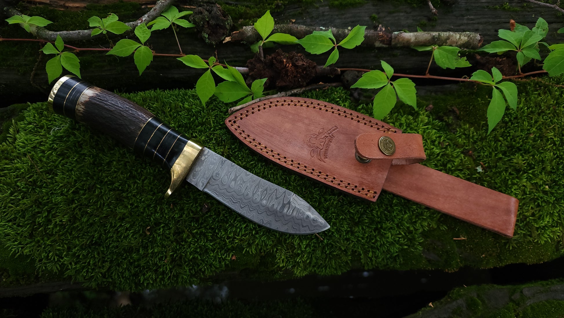 EBK-10 Damascus Steel Stag Handle Knife