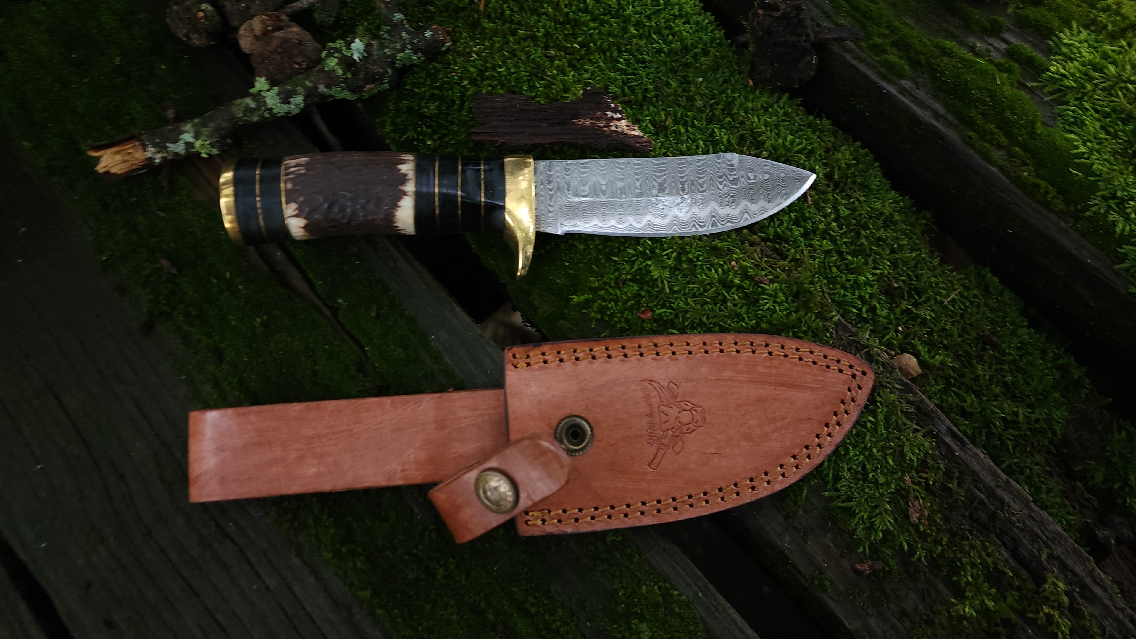 EBK-13 Stag Handle Knife