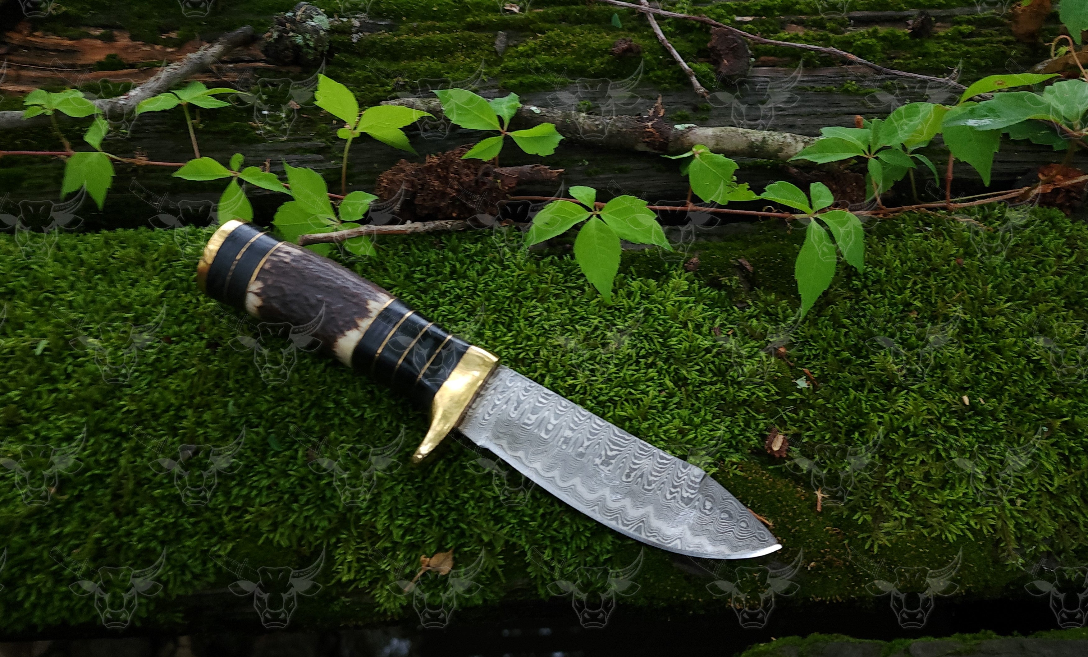 EBK - 21 Duck Hunter