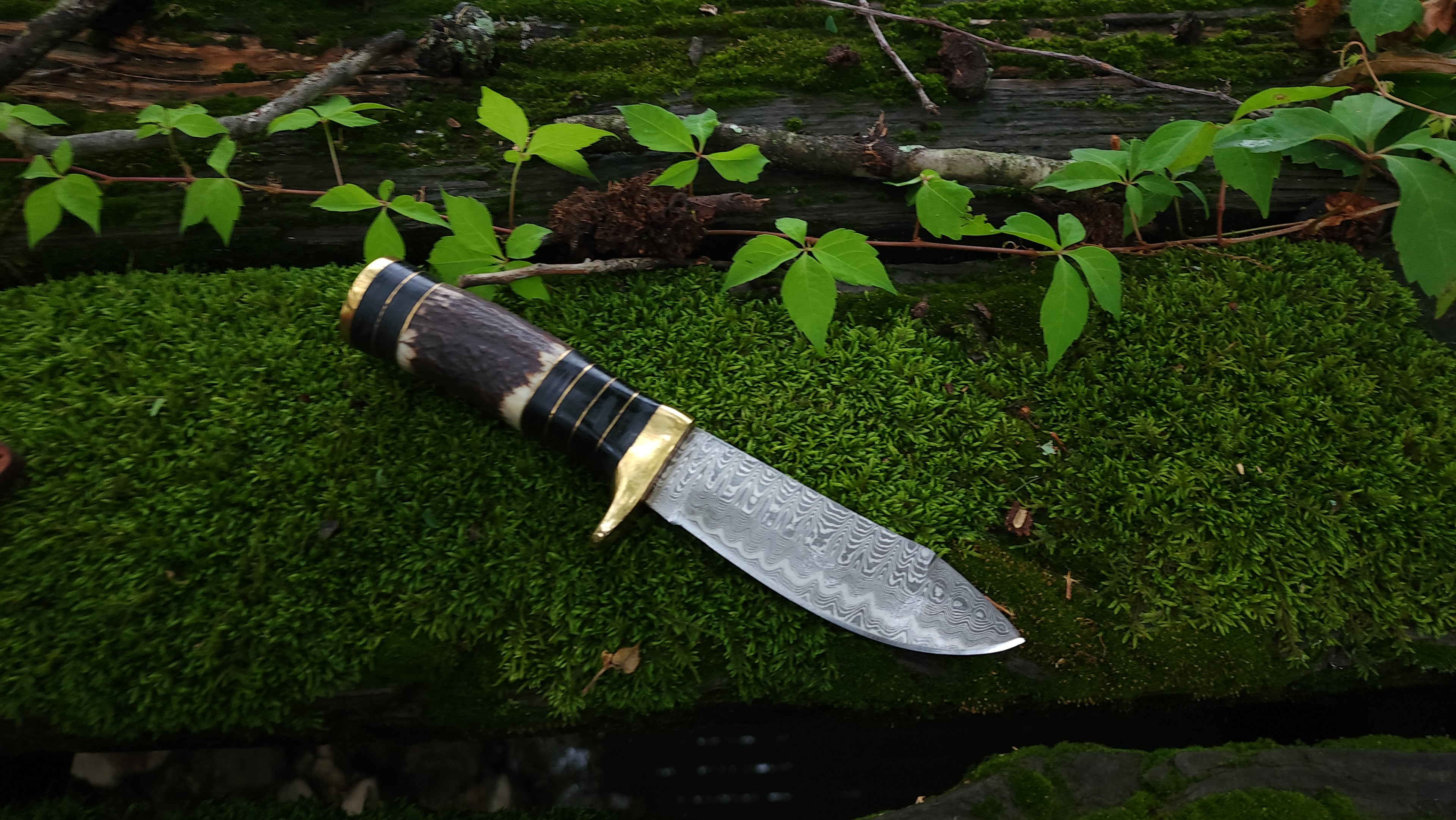 EBK-13 Stag Handle Knife
