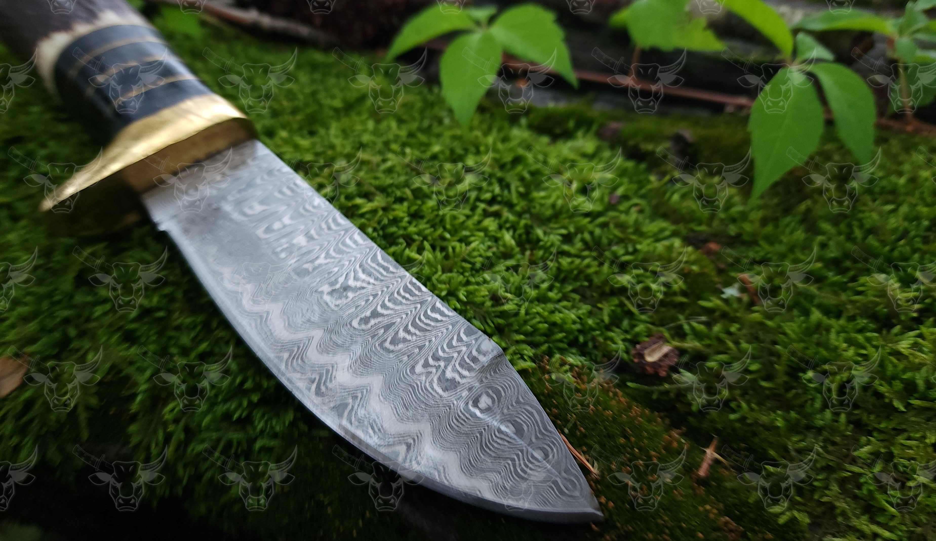 EBK - 21 Duck Hunter