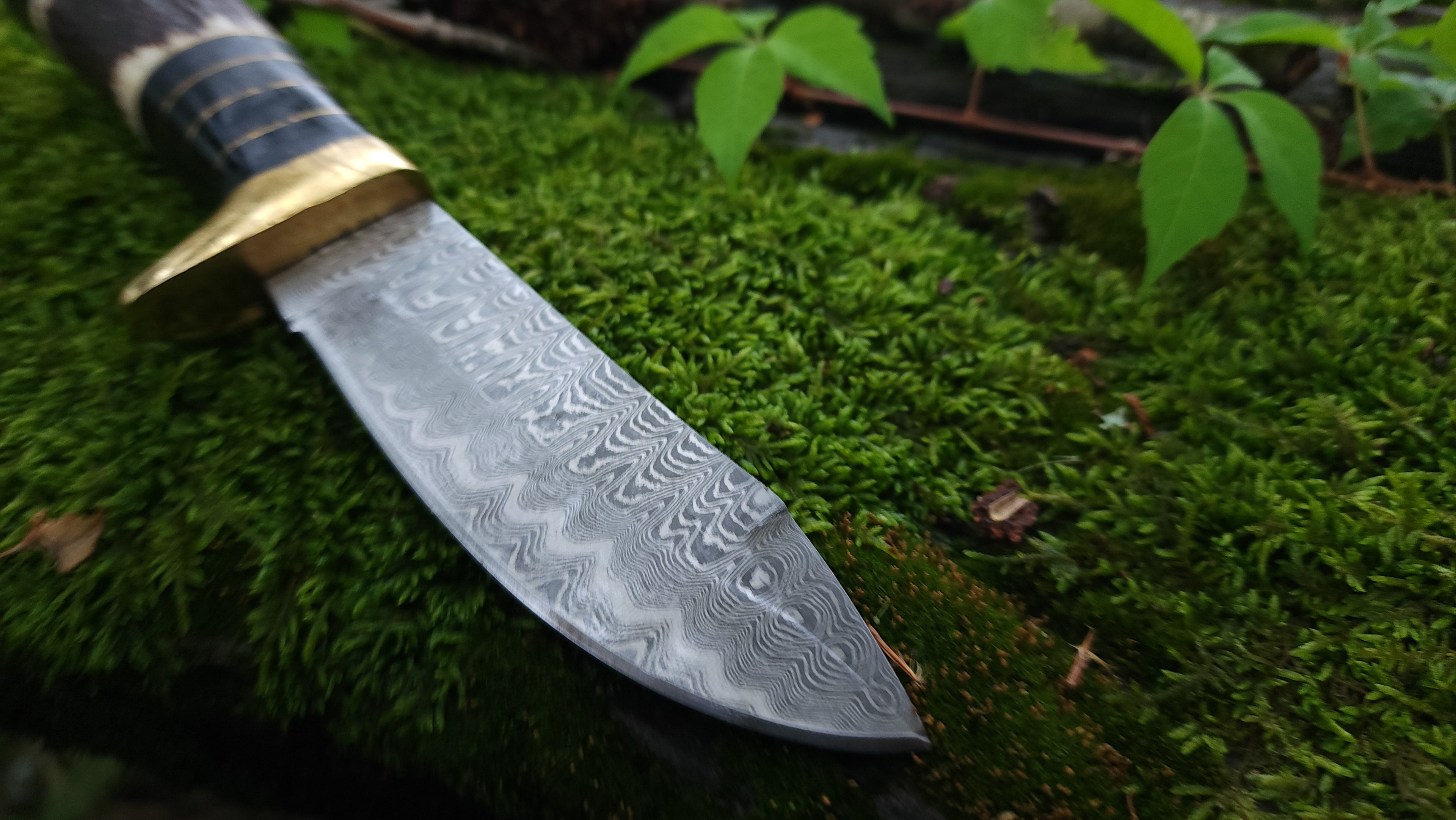 EBK-13 Stag Handle Knife