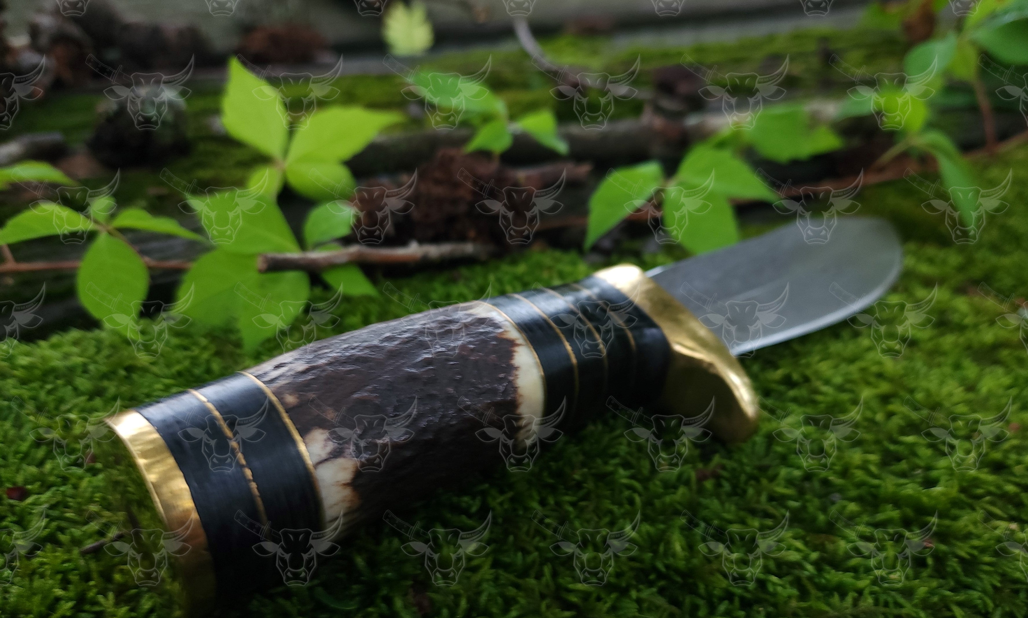 EBK - 21 Duck Hunter