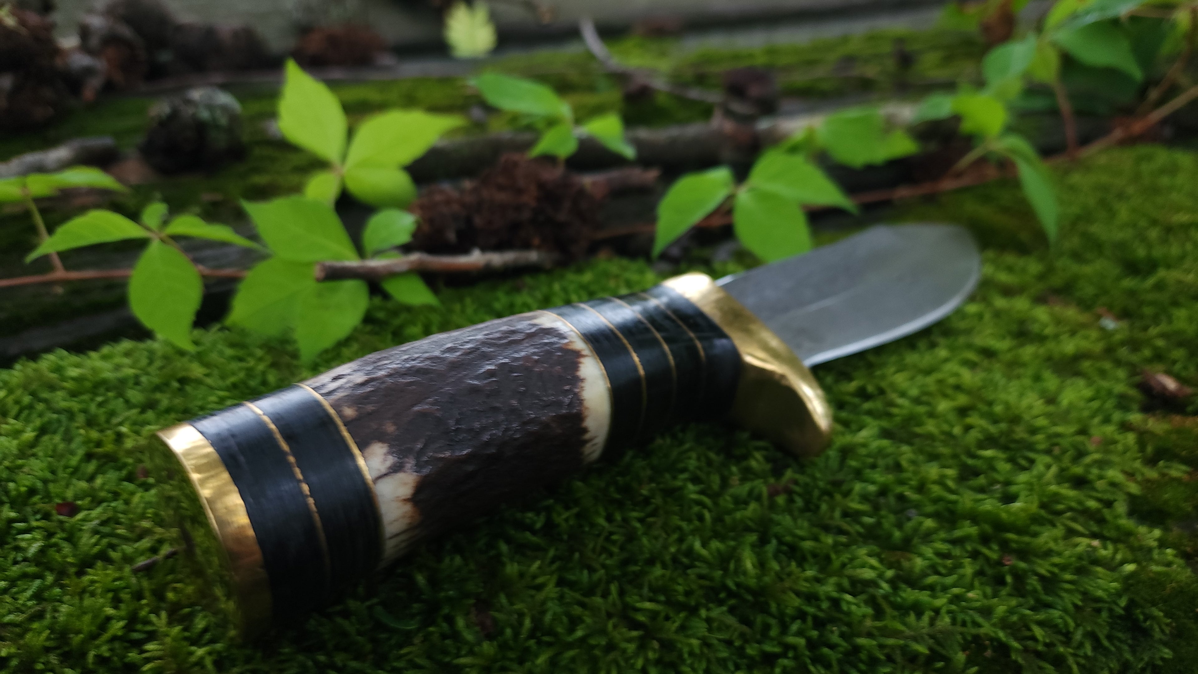 EBK-13 Stag Handle Knife