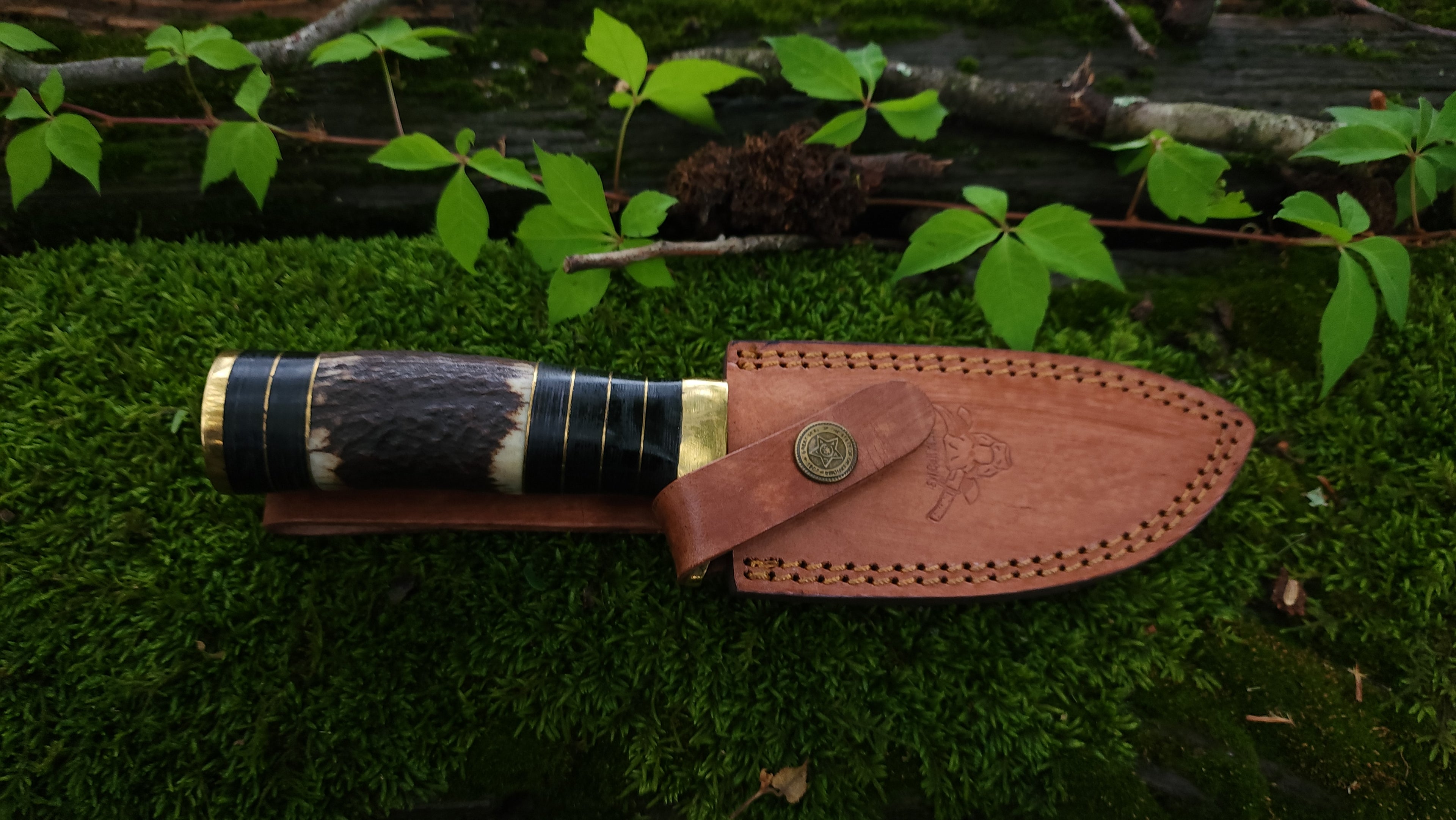 EBK-13 Stag Handle Knife