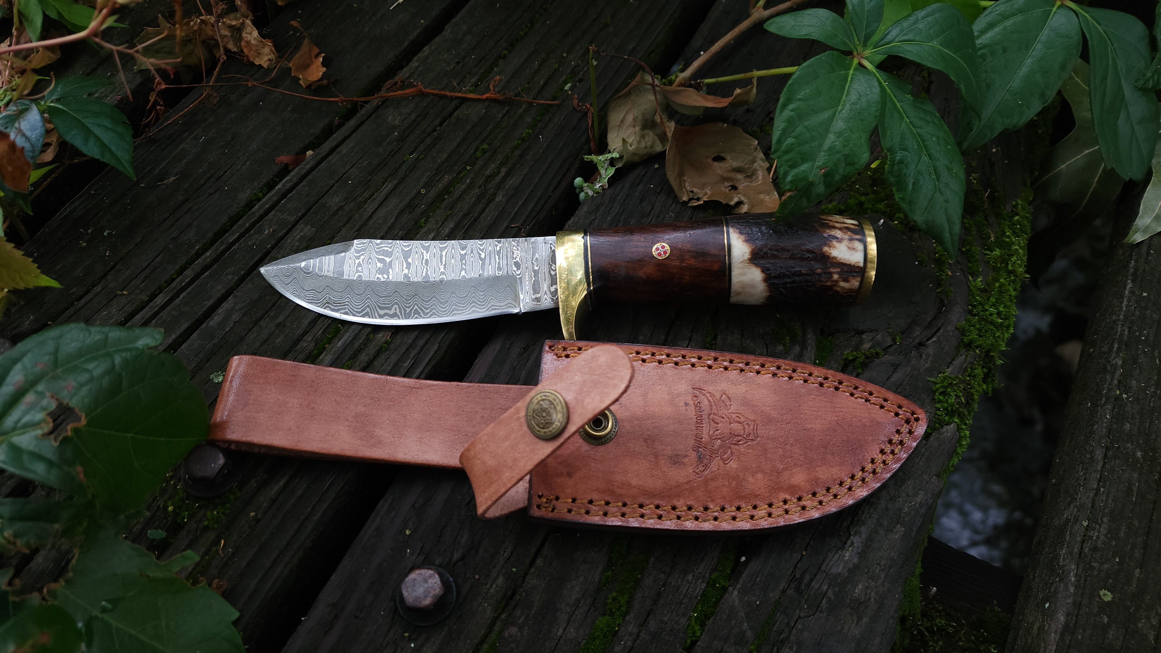 EBK-12 Grizly bear knife