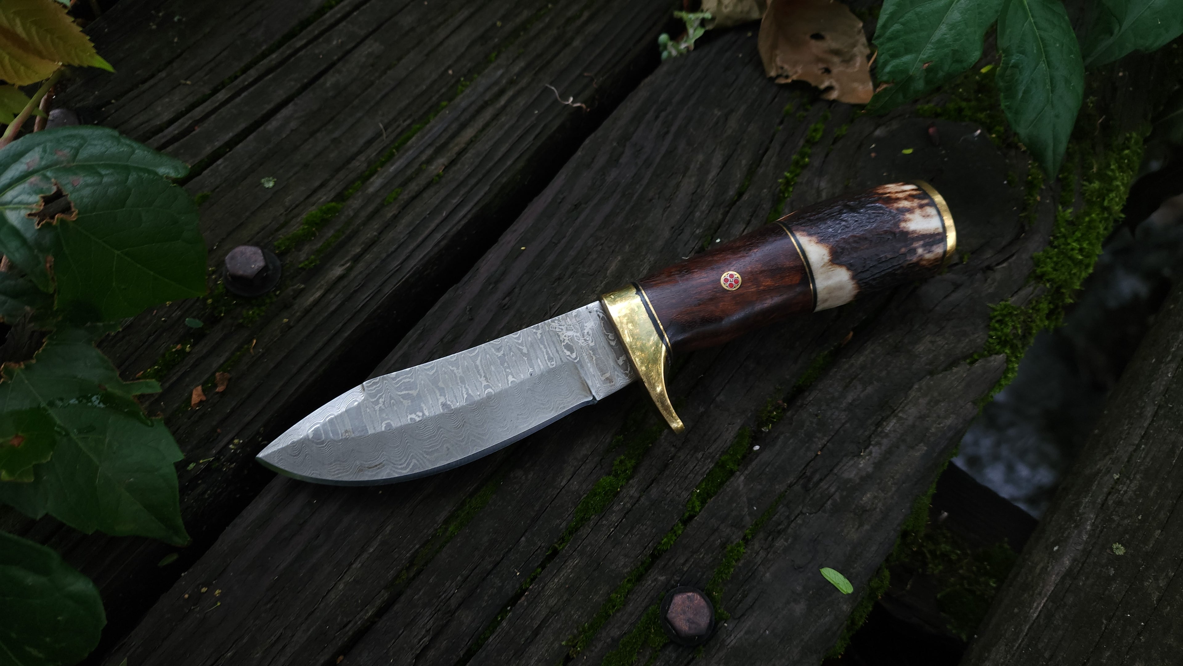 EBK-12 Grizly bear knife