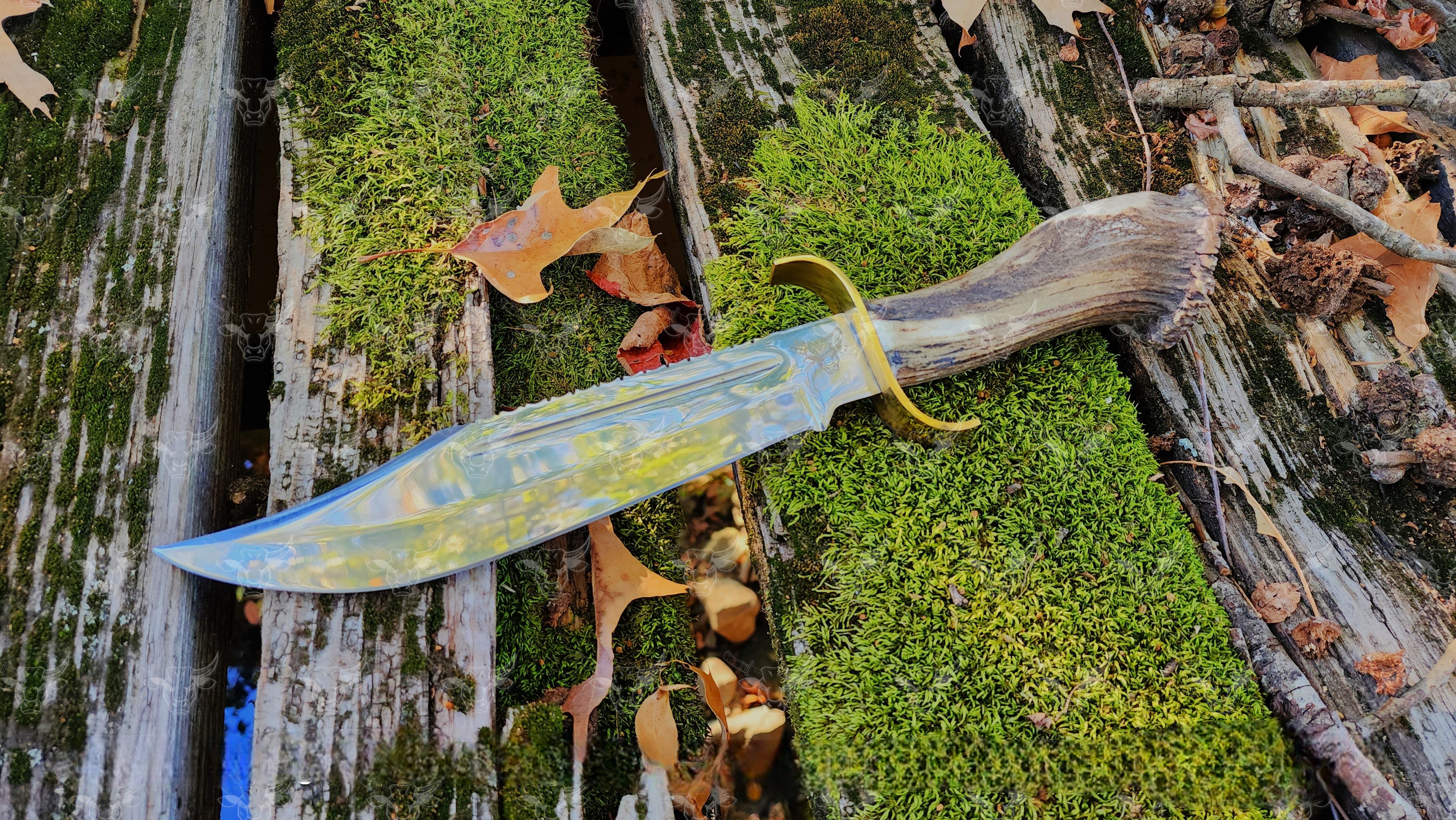 The Crocodile Hunter – EBK-180 Ft. Crocodile Dundee