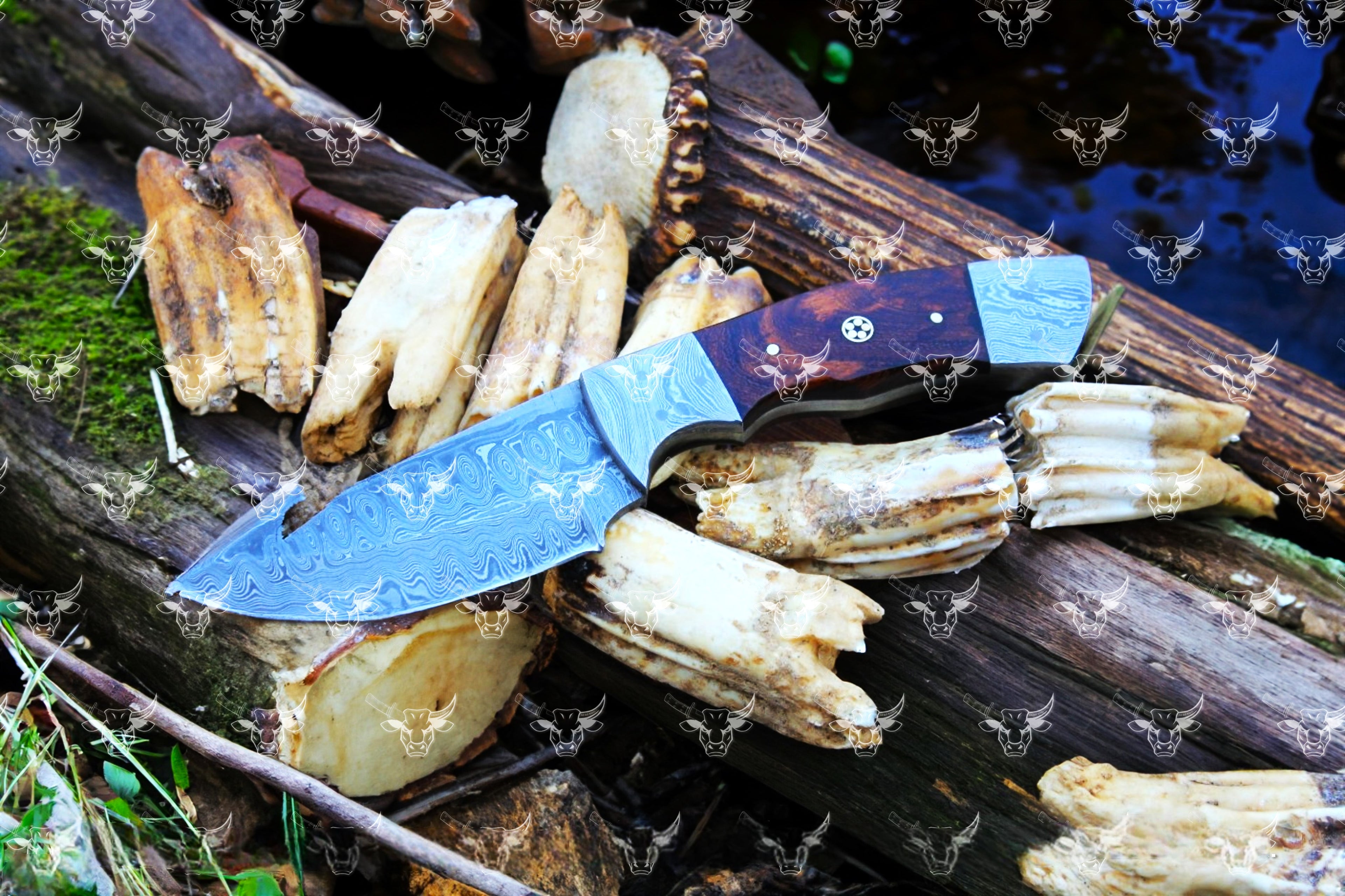 Honest Skinner - EBK-178