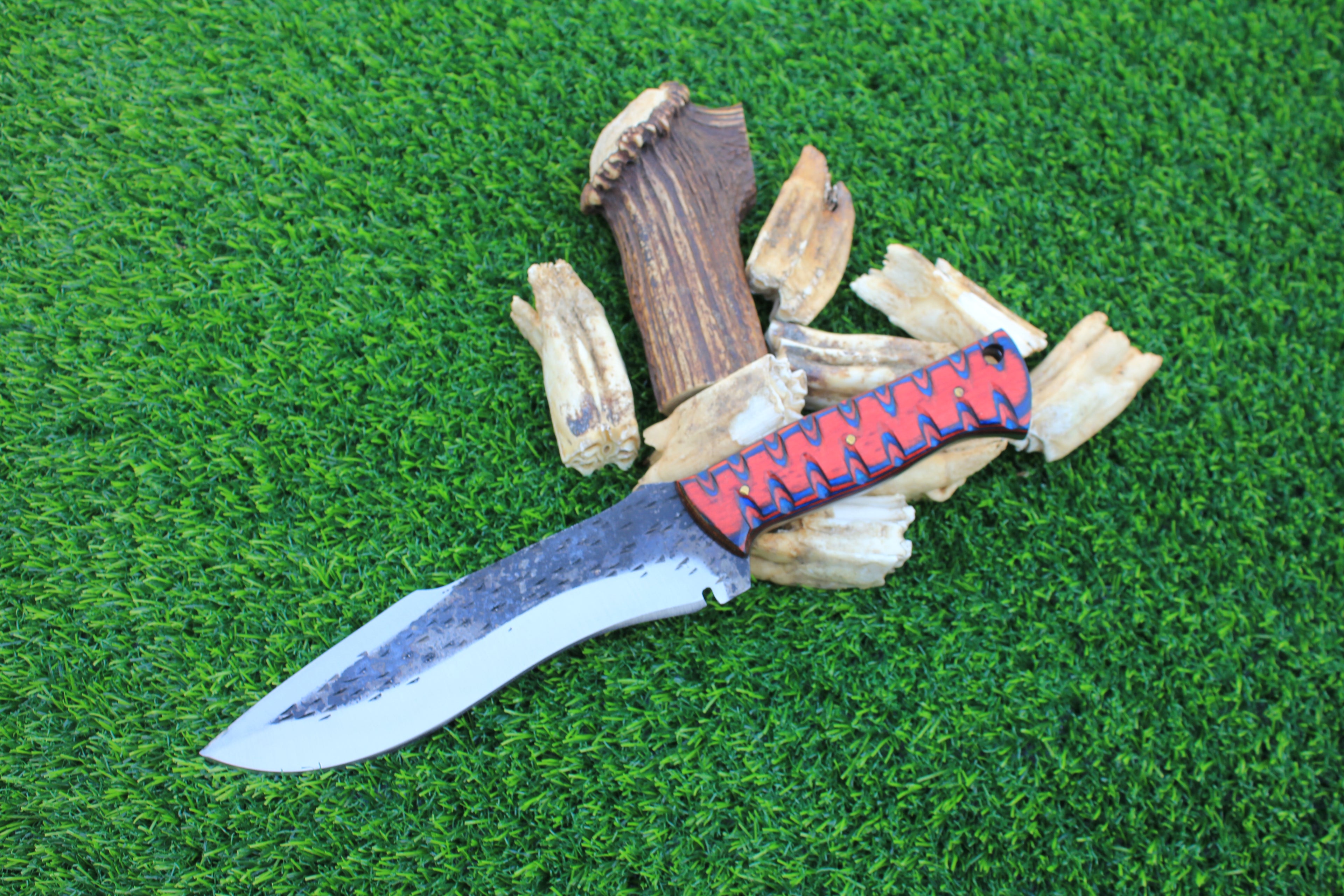 EBK-22 — Forgeback Raptor