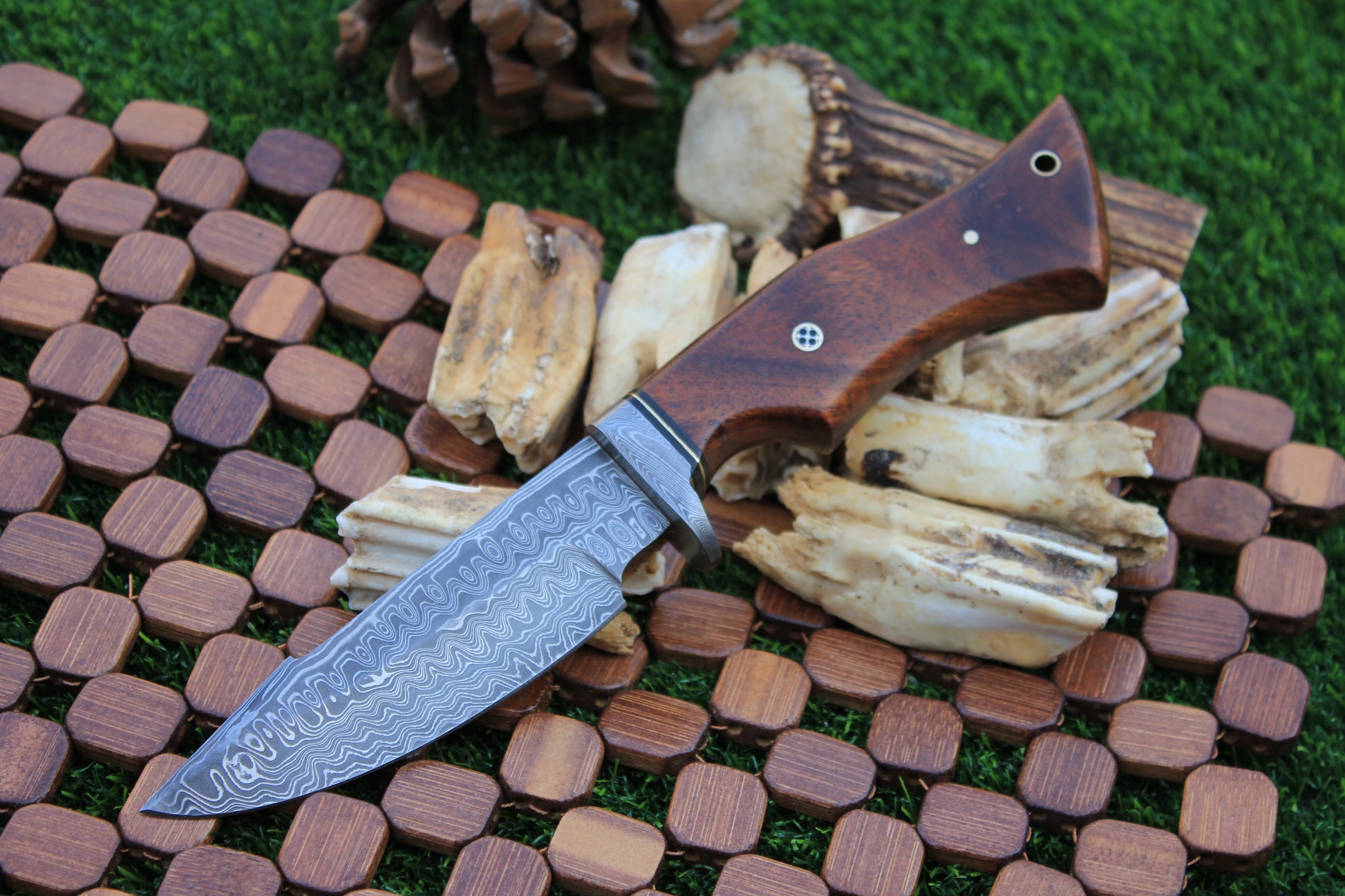 EBK-24 Premium Grizzly Blade knife