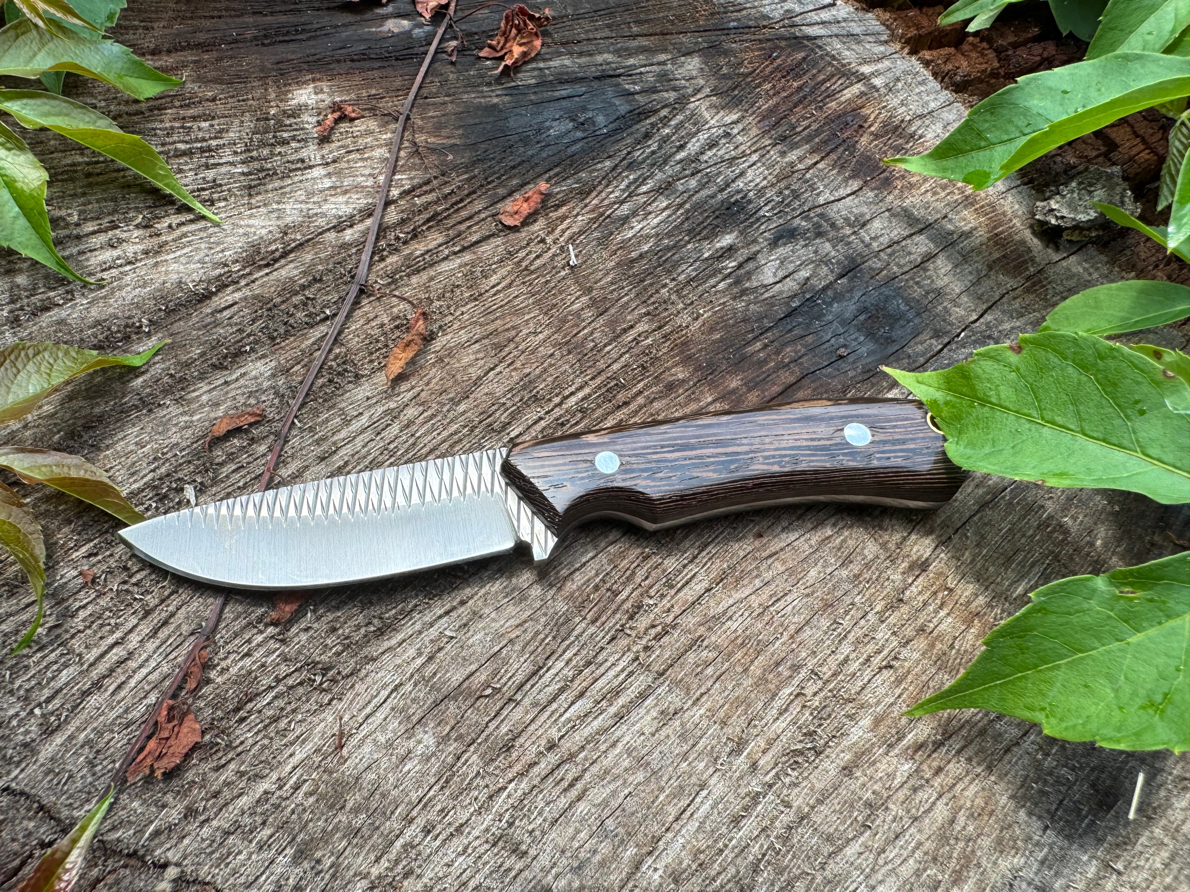 Rasp steel Edc knife
