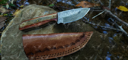 EBK-03 Damascus steel Olive Wood Handle Skinner knife