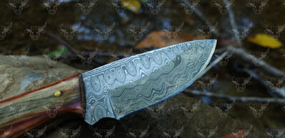 EBK-03 Damascus steel Olive Wood Handle Skinner knife