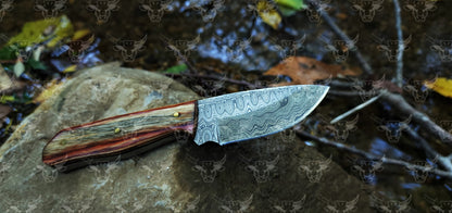 EBK-03 Damascus steel Olive Wood Handle Skinner knife