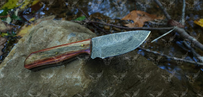 EBK-03 Damascus steel Olive Wood Handle Skinner knife