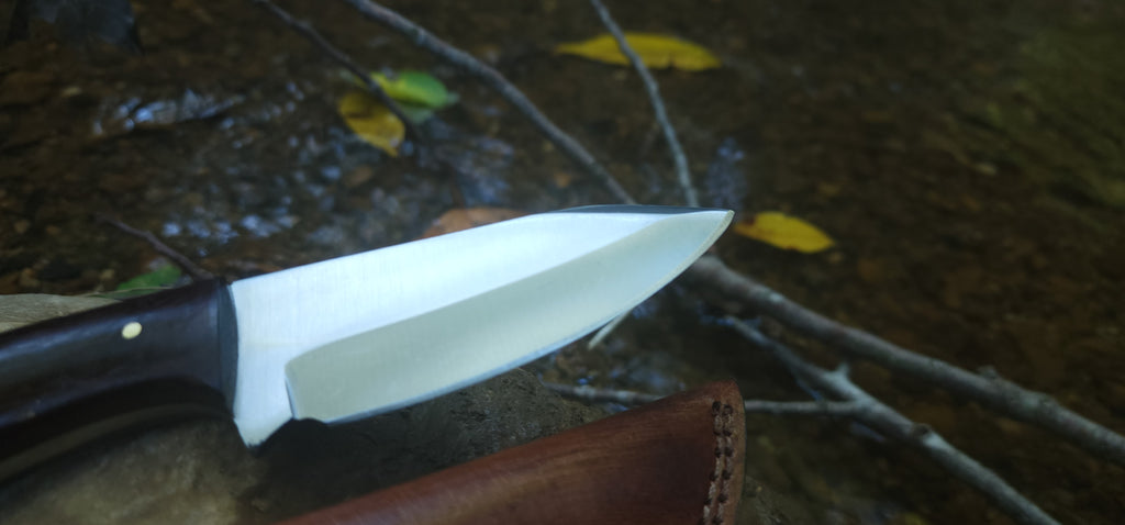 EBK-02 D2-Bull Horn Steel hunting knife