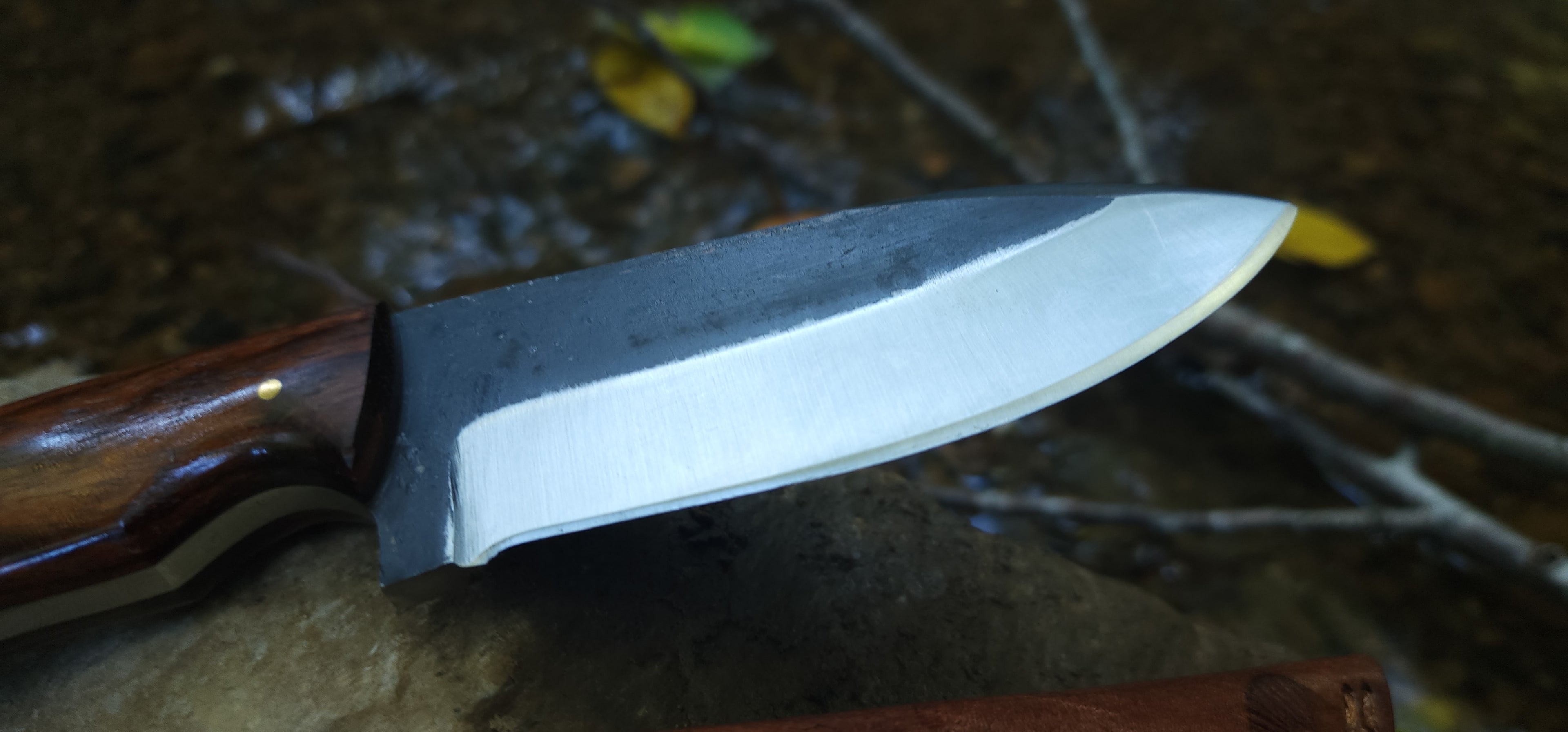 EBK-17 handmade knife, forged steel rose wood handle