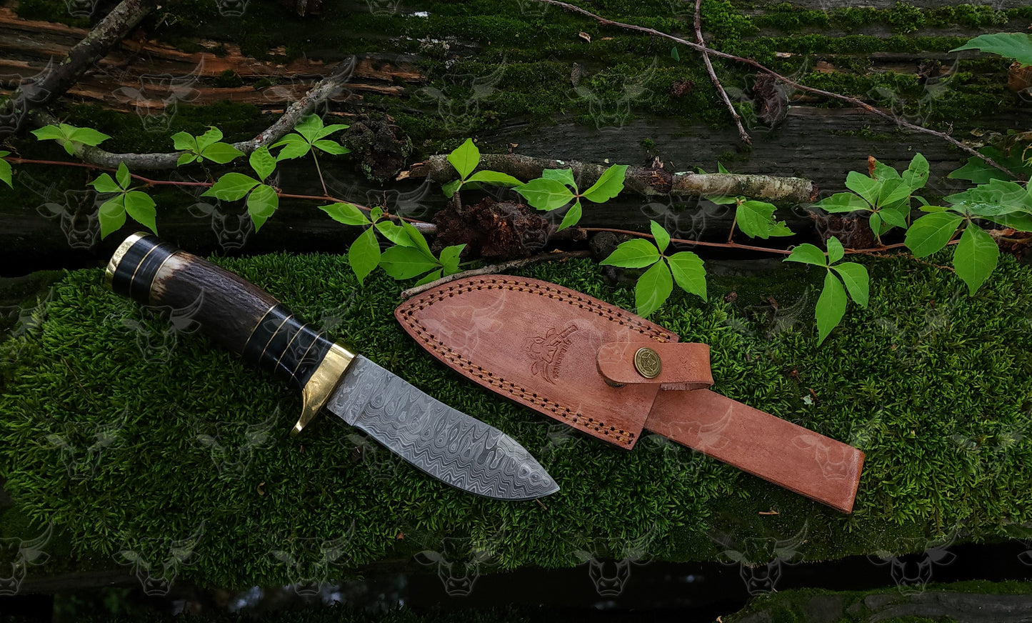 EBK-10 Damascus steel knife, Stag handle, Fixed blade knife