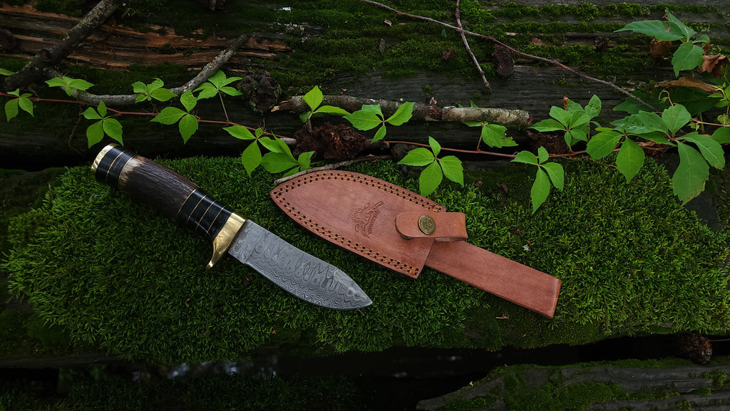EBK-10 Damascus Steel Stag Handle Knife