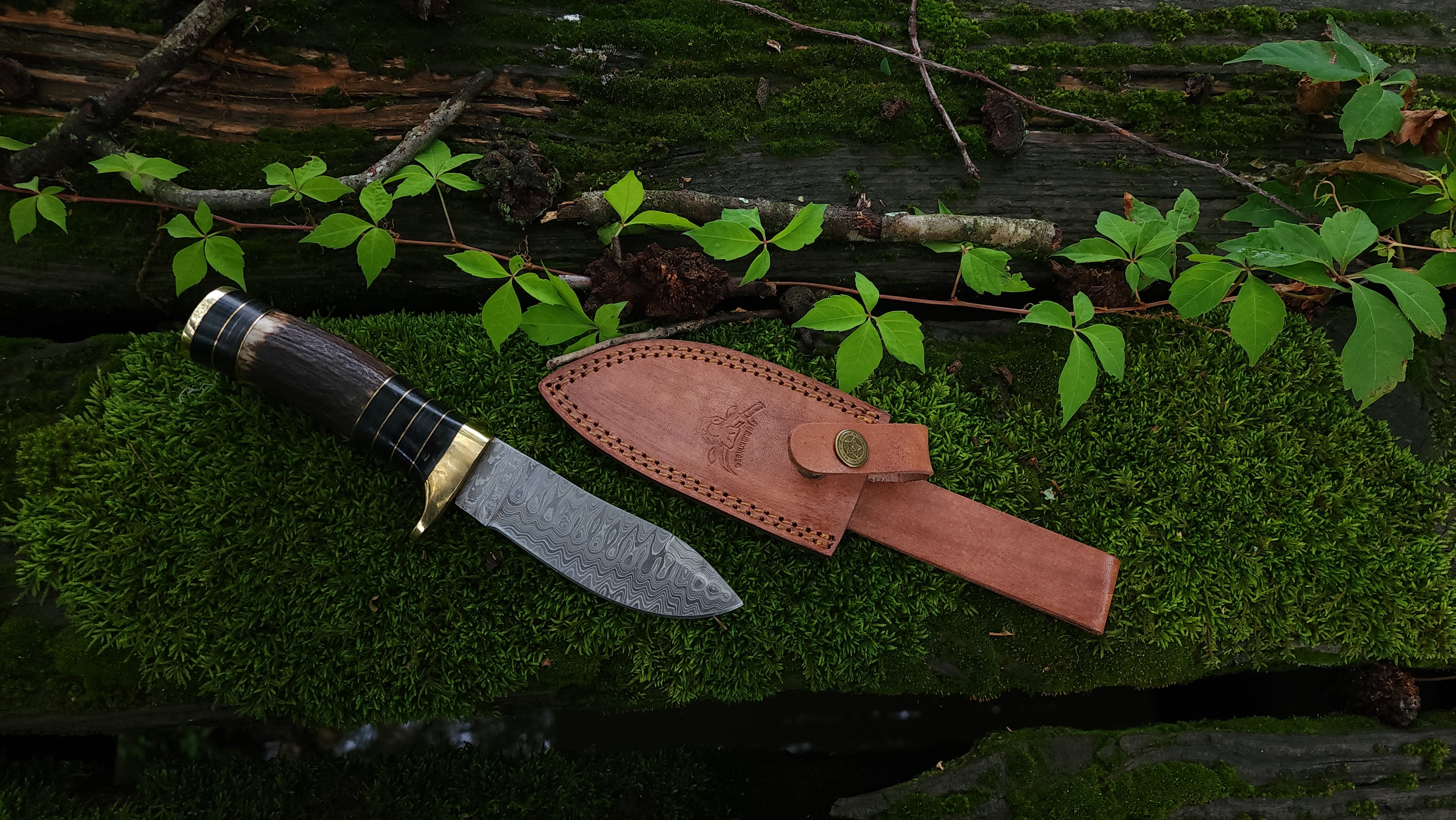 EBK-10 Damascus Steel Stag Handle Knife