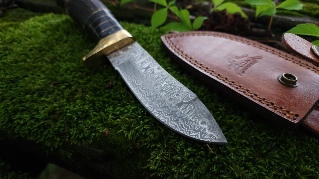 EBK-10 Damascus Steel Stag Handle Knife