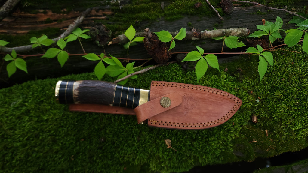 EBK-10 Damascus Steel Stag Handle Knife