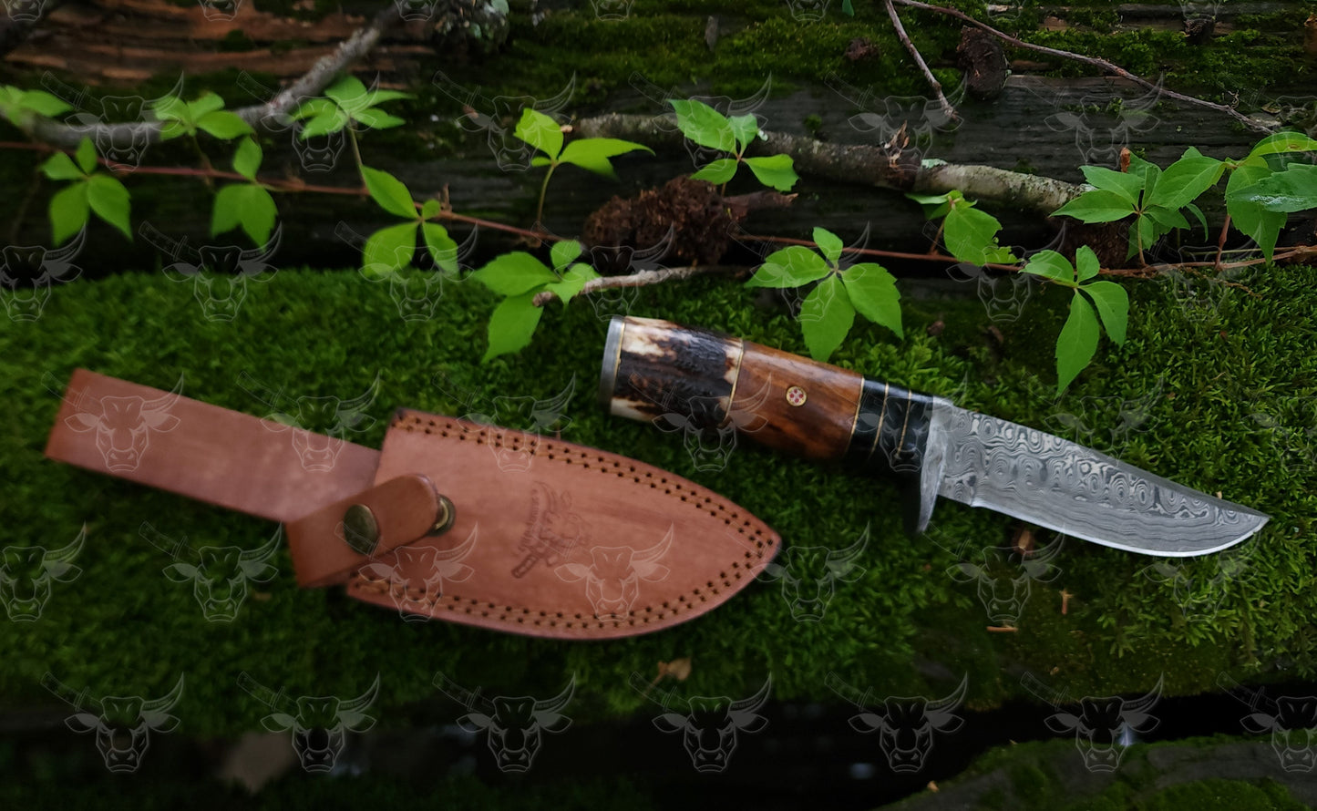 EBK-13 Best Seller Damascus hunting knife, Travelling knife, Camping knife