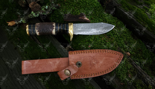 EBK-21 Stag handle Knife, Damascus steel knife, Leather sheath