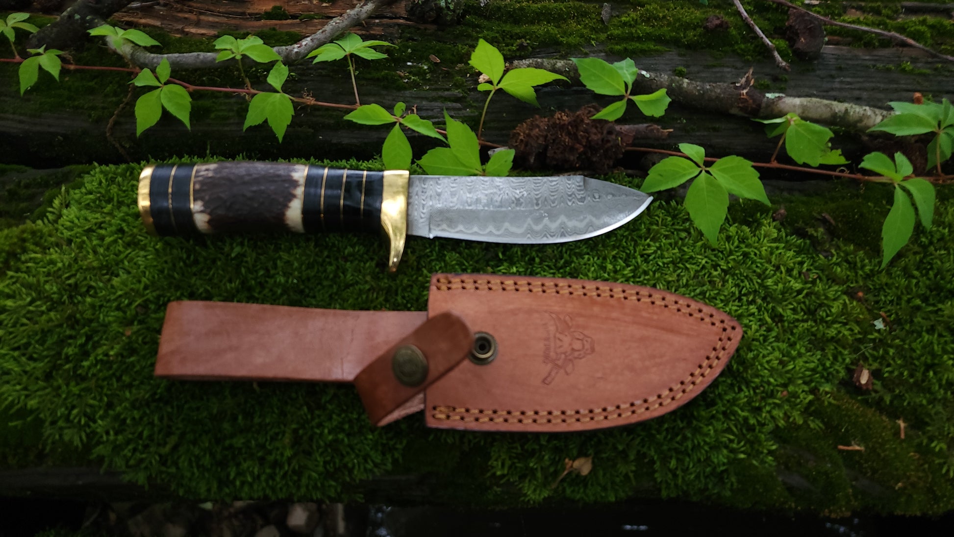 EBK-13 Stag Handle Knife