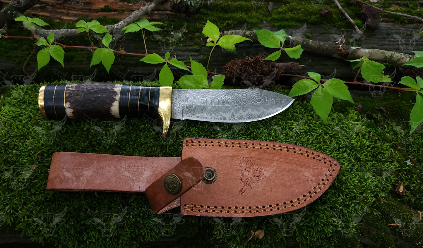 EBK-21 Stag handle Knife, Damascus steel knife, Leather sheath