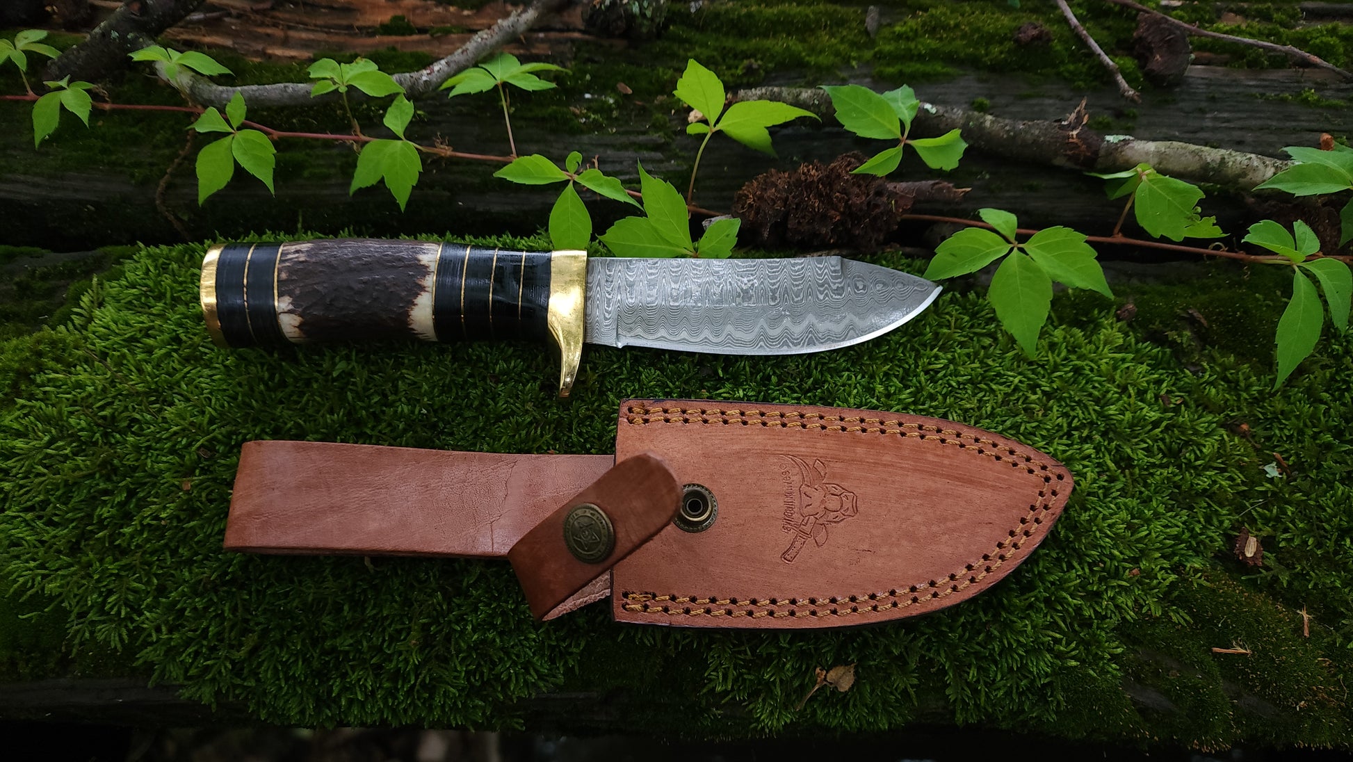 EBK-13 Stag Handle Knife