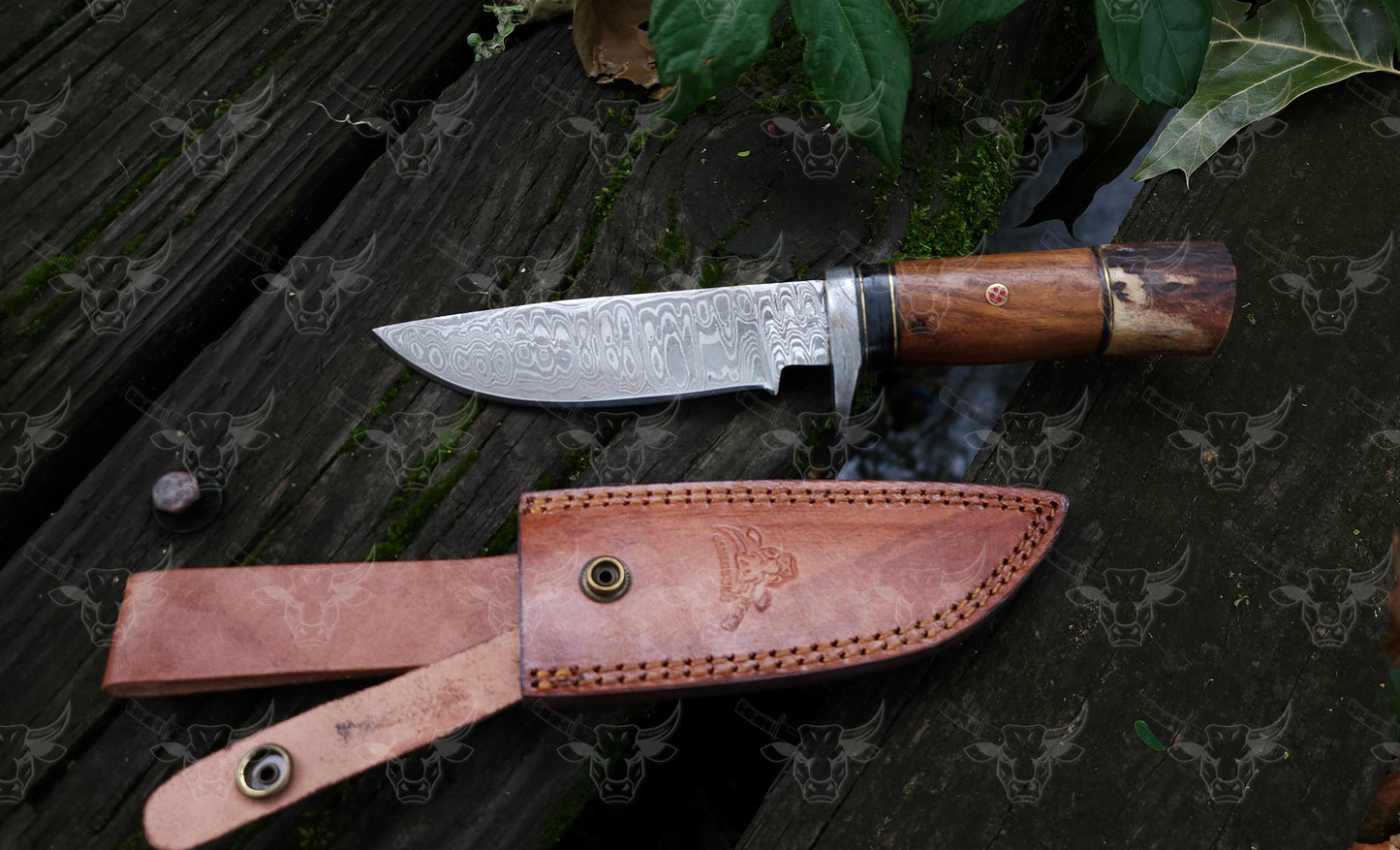 EBK-16 Handmade damascus steel knife, fixed blade knife