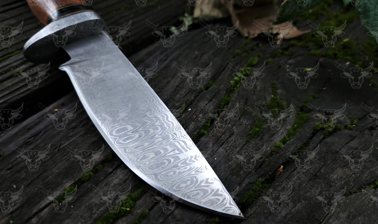 EBK-16 Handmade damascus steel knife, fixed blade knife