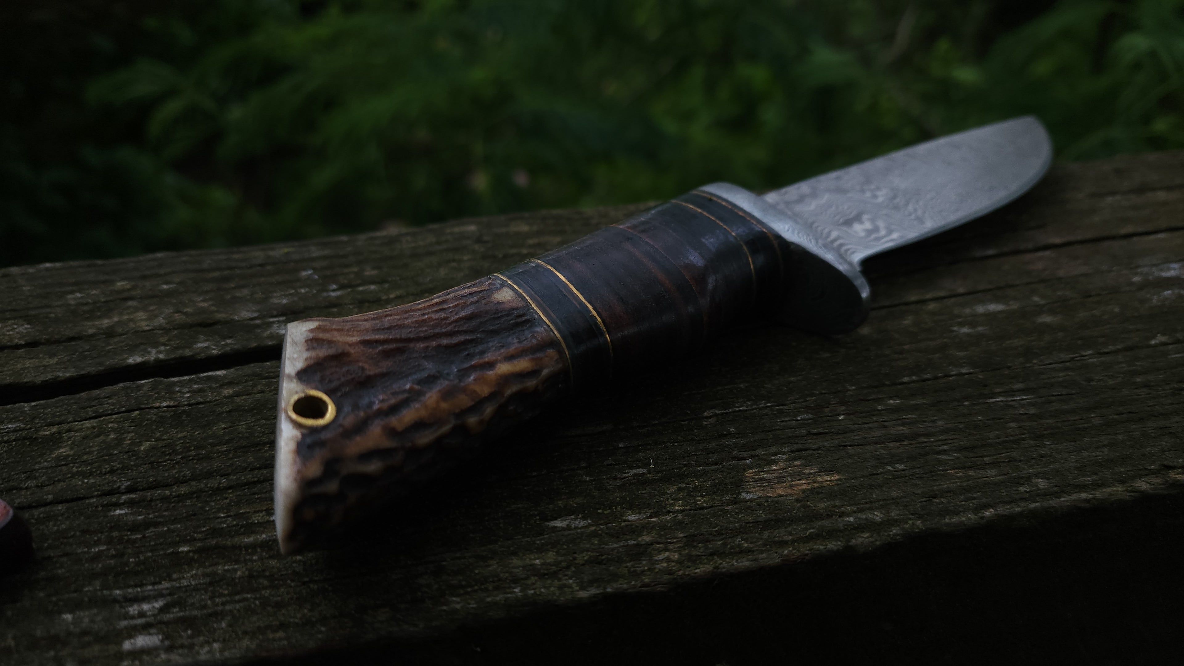 EBK-05 Damascus Steel Hunting Knife