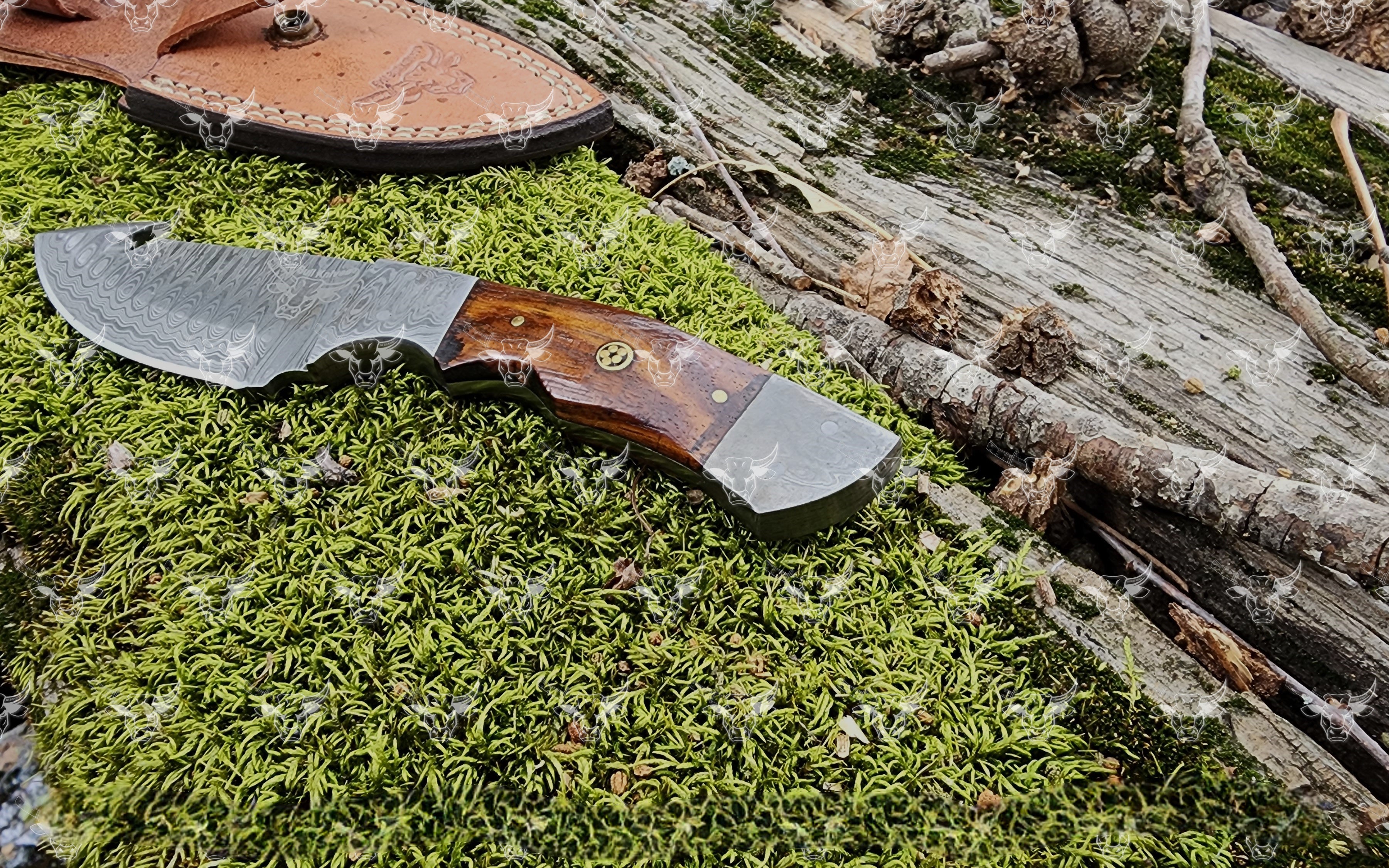 Honest Skinner - EBK-178