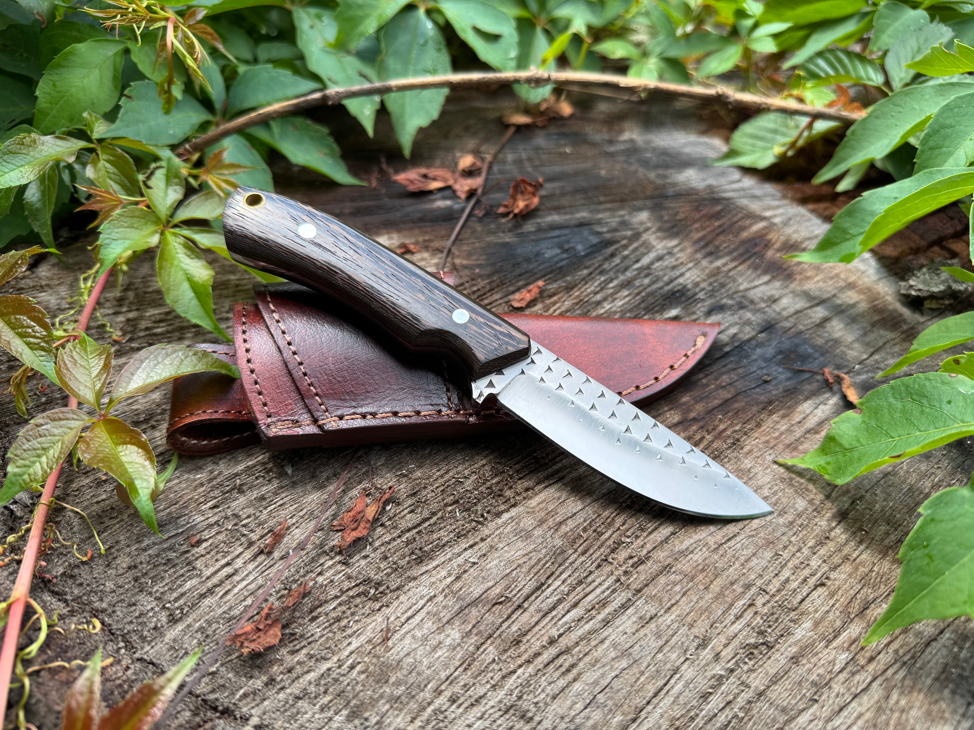 Rasp steel Edc knife