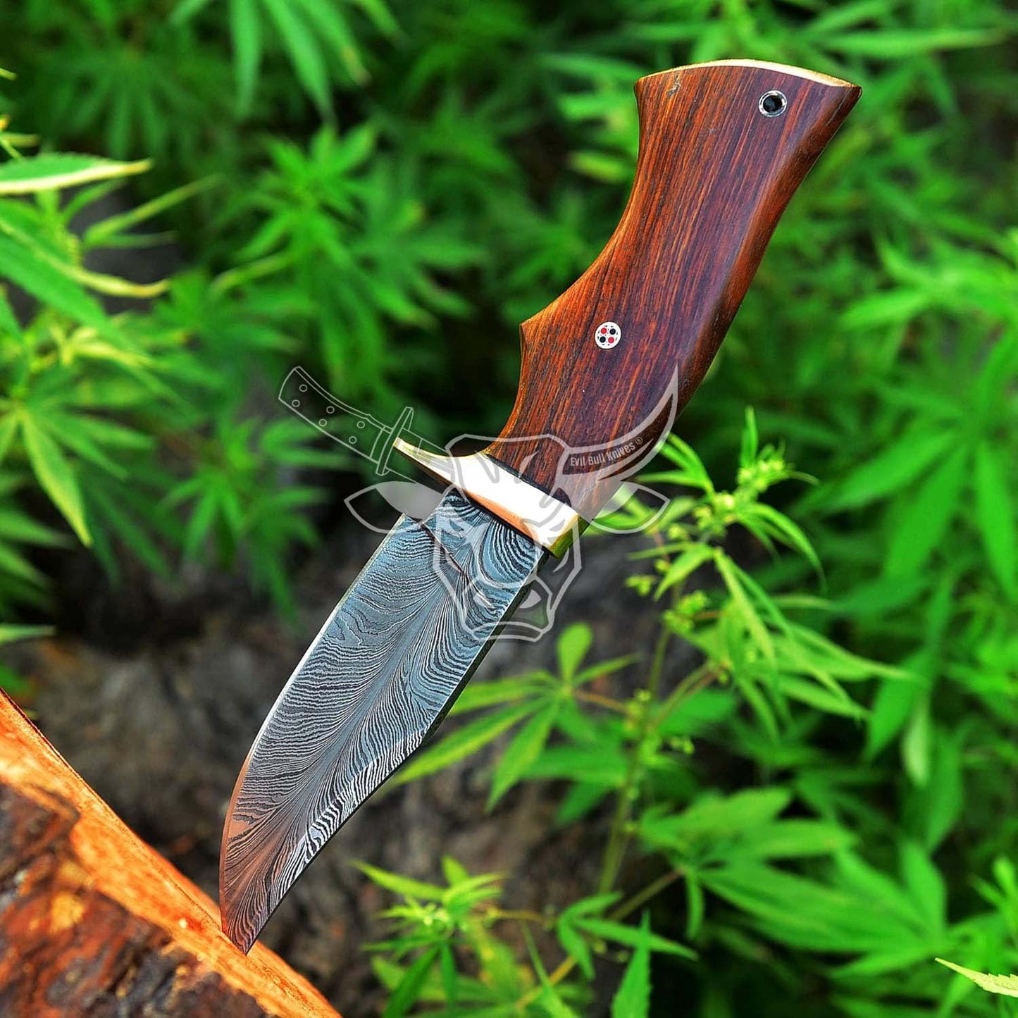 EBK-161 Custom Handmade DAMASCUS Hunting Knife Special Featured Is Feather Pattern With Rose Wood Handle Christmas Gift For Him , Birthday Gift , Gift For Him