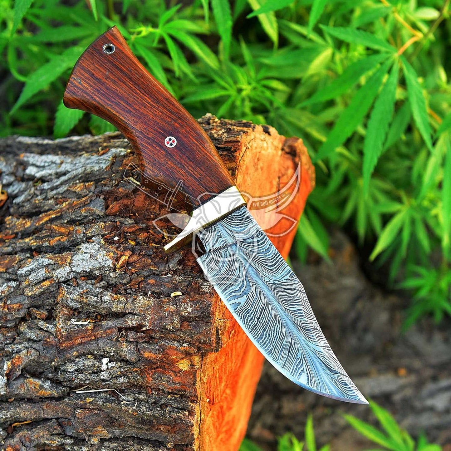 EBK-161 Custom Handmade DAMASCUS Hunting Knife Special Featured Is Feather Pattern With Rose Wood Handle Christmas Gift For Him , Birthday Gift , Gift For Him