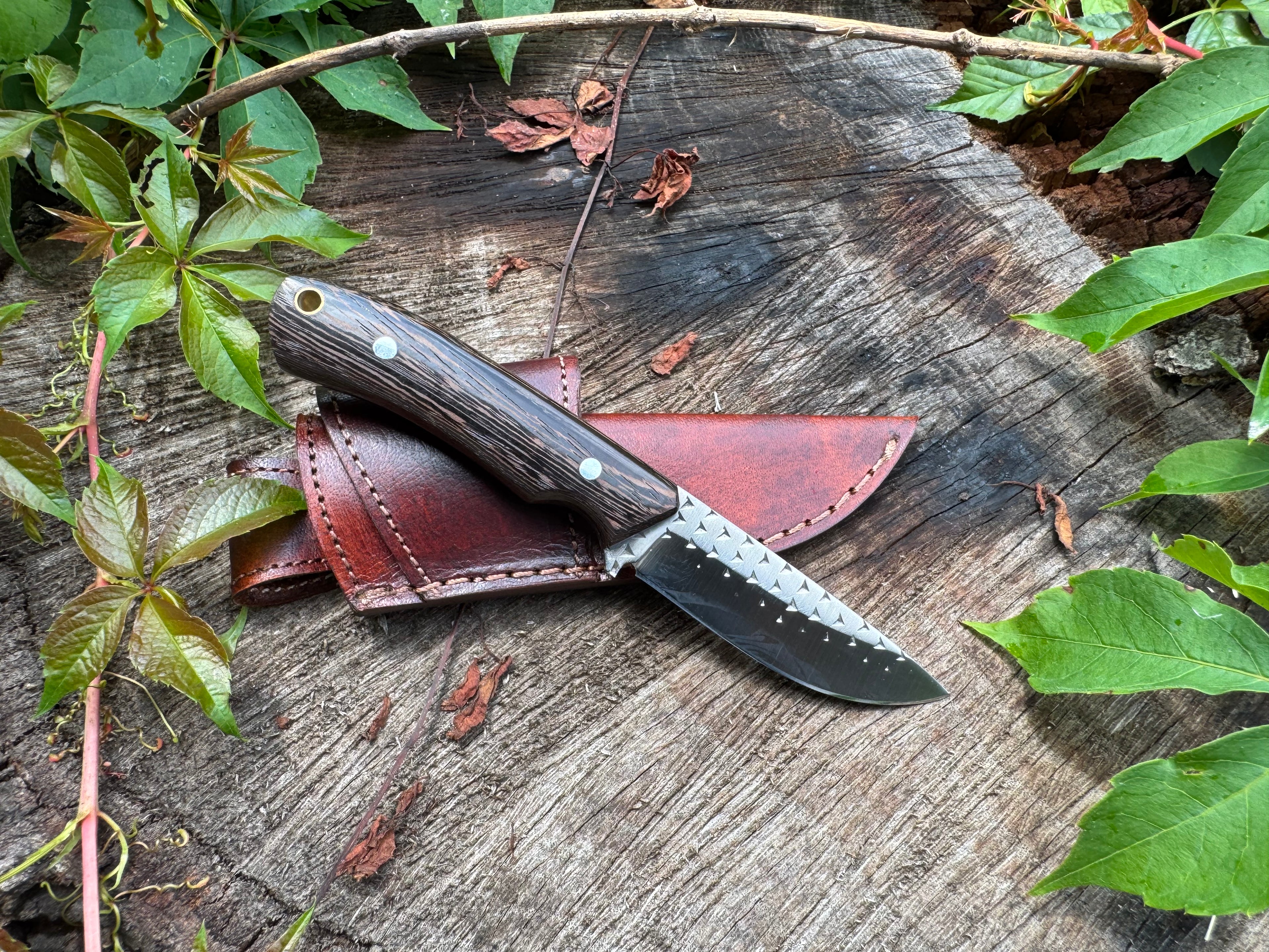 Rasp steel Edc knife