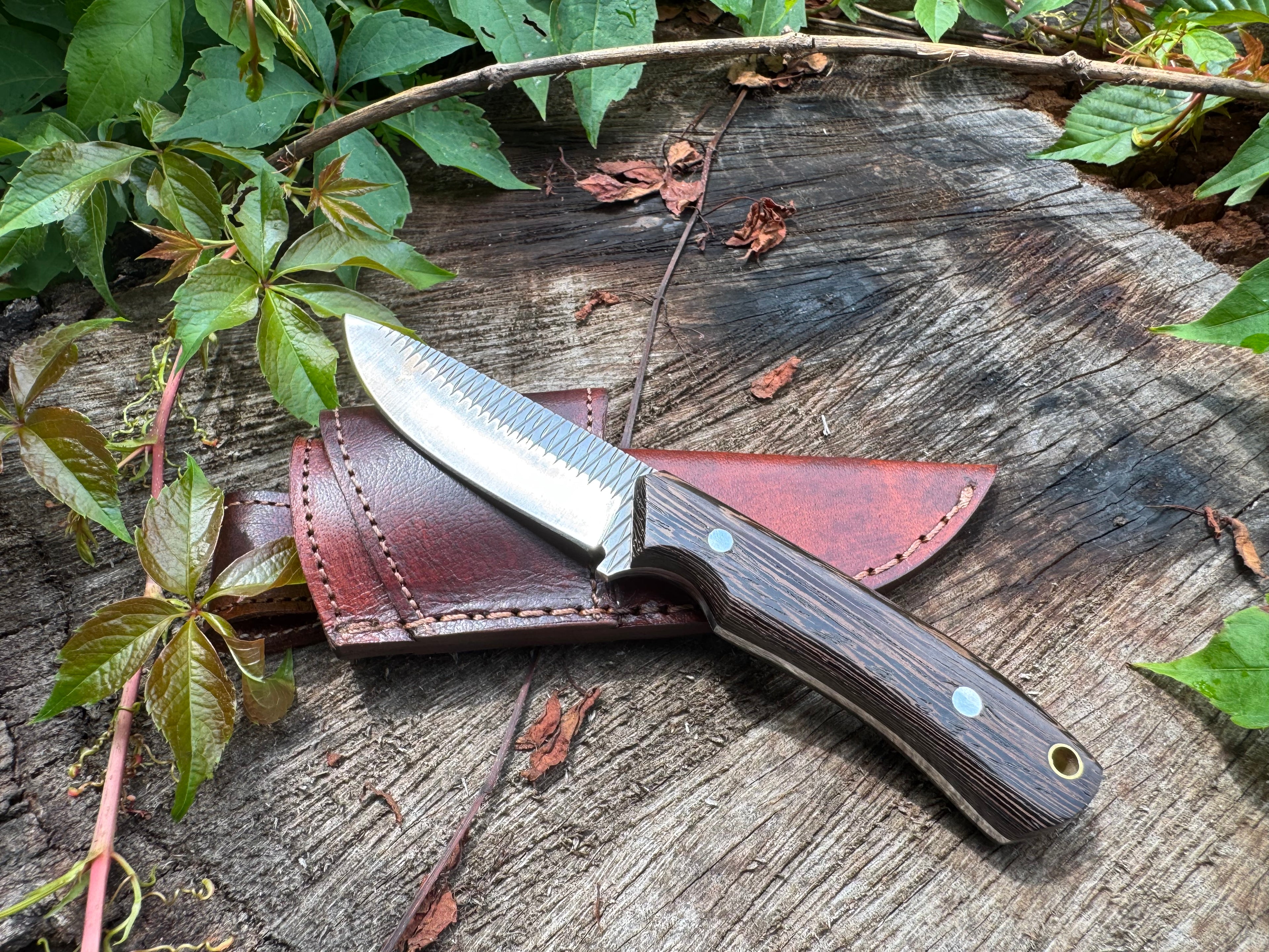 Rasp steel Edc knife