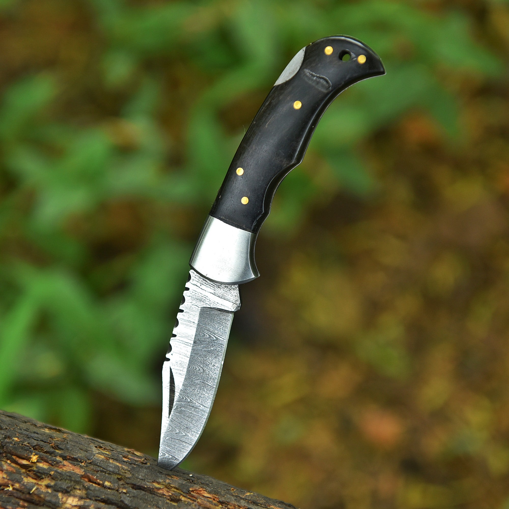 EBK-21 Bull horn champ Pocket knife