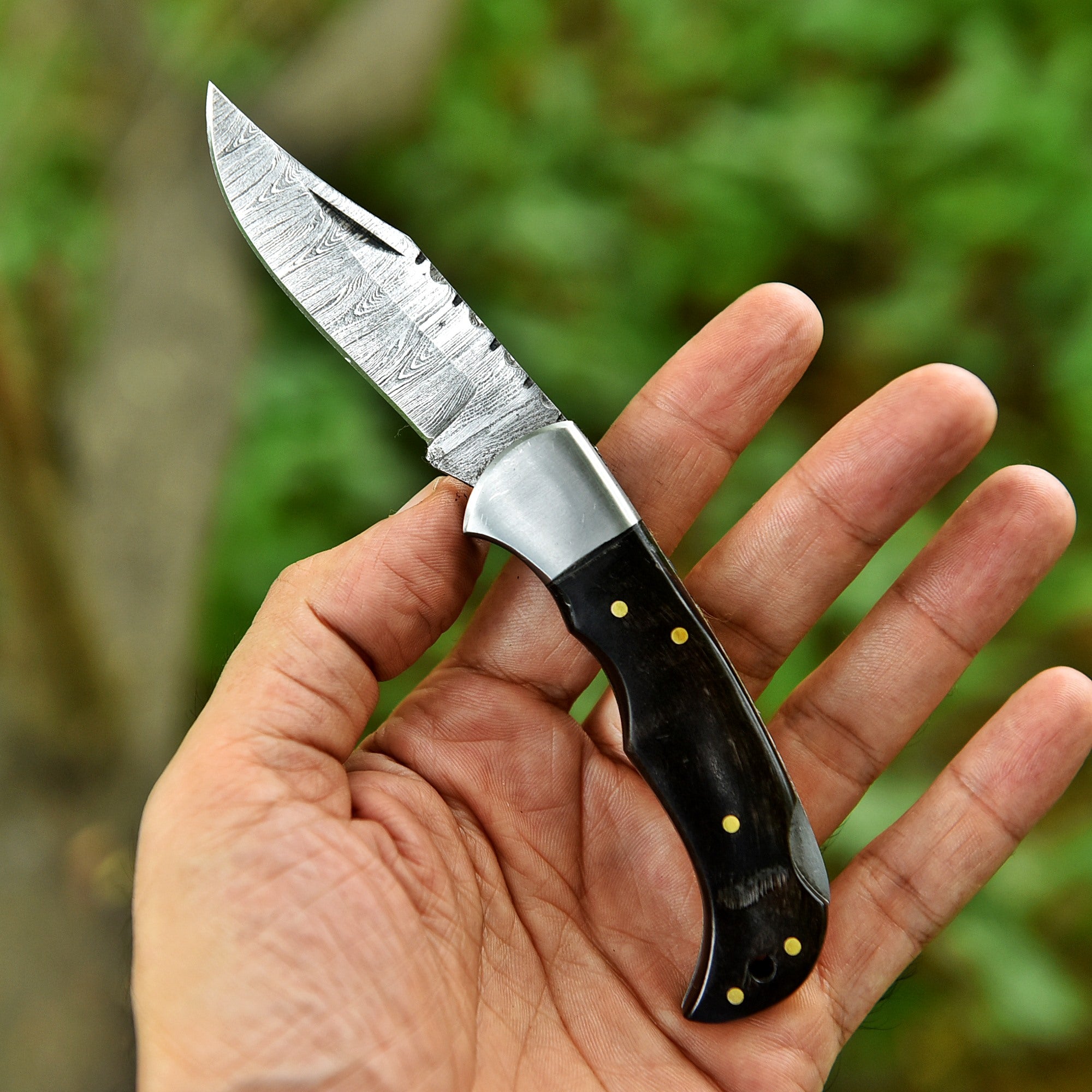 EBK-21 Bull horn champ Pocket knife