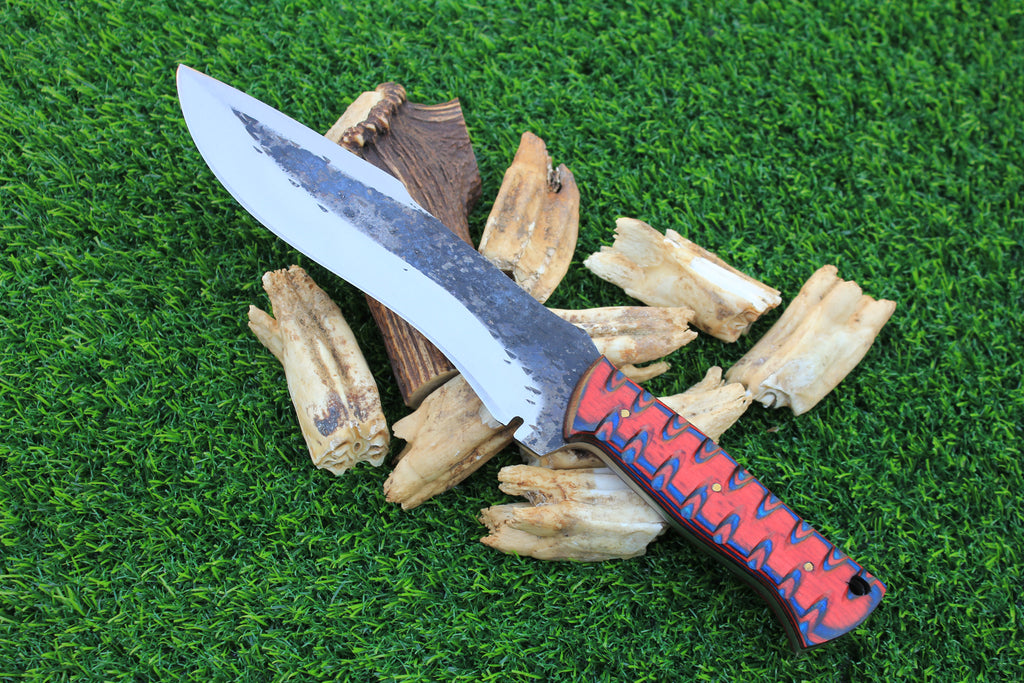 EBK-22 — Forgeback Raptor