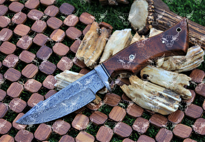 EBK-24 Premium Handmade Damscus steel Knife, Handforged Damascus Blade, Wood handle , LEather sheath with snake pattern