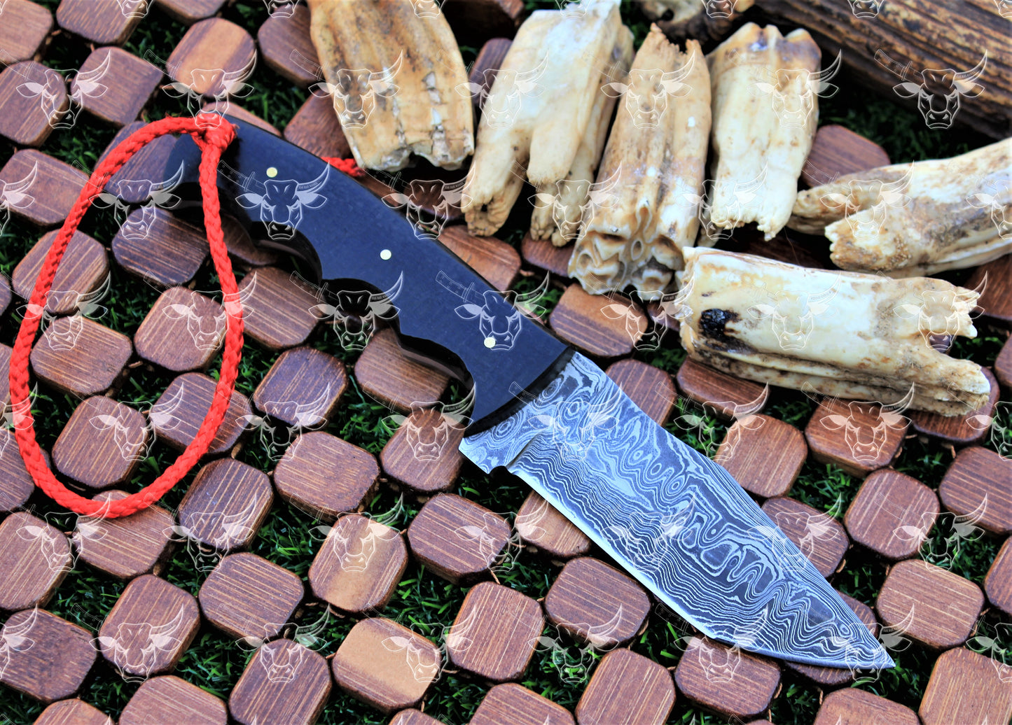 EBK-23 Damascus steel Tanto blade knife, bull horn handle Forged damasacus