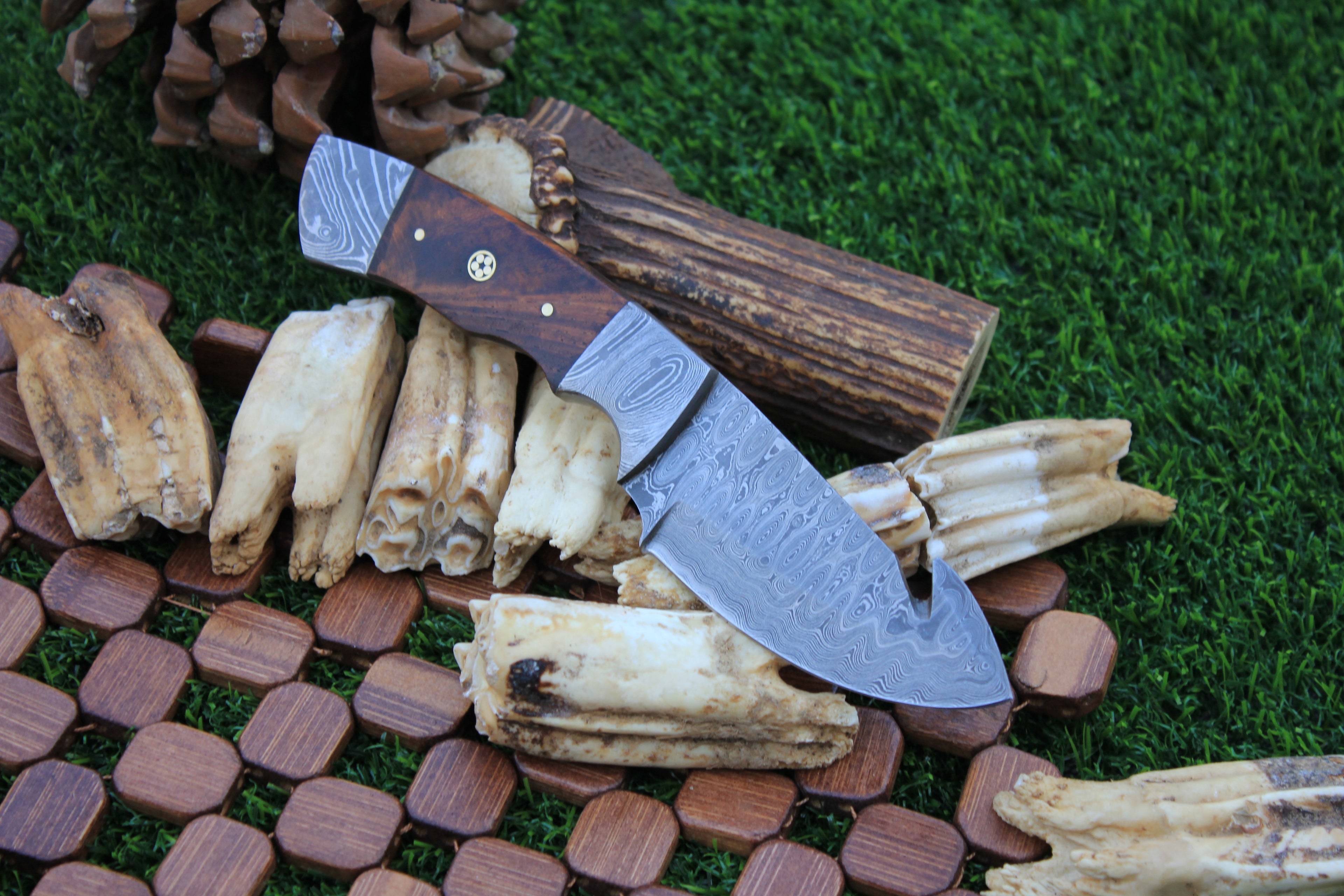 Honest Skinner - EBK-178