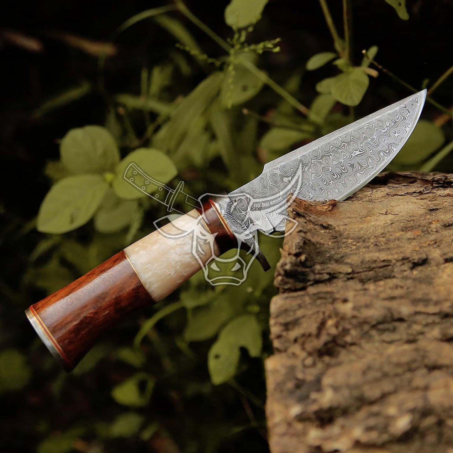 EBK-130 Custom Handmade Hunting Knife Birthday Gift Camel Bone With Rose Wood Anniversary Gift , Birthday Gift, Anniversary Gift For Him